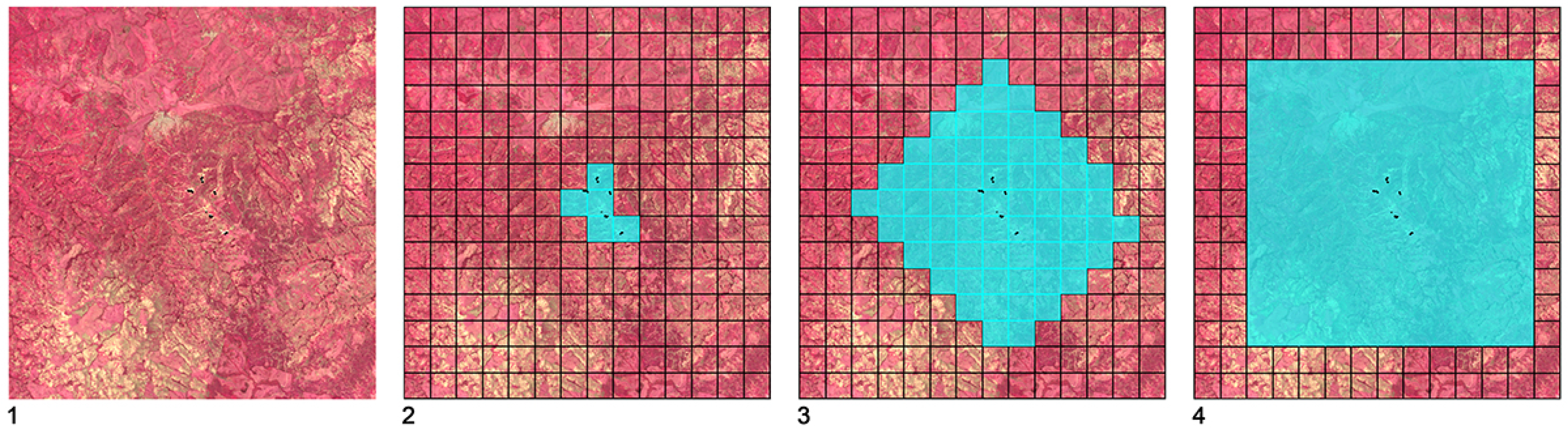 Remotesensing 06 06636f6