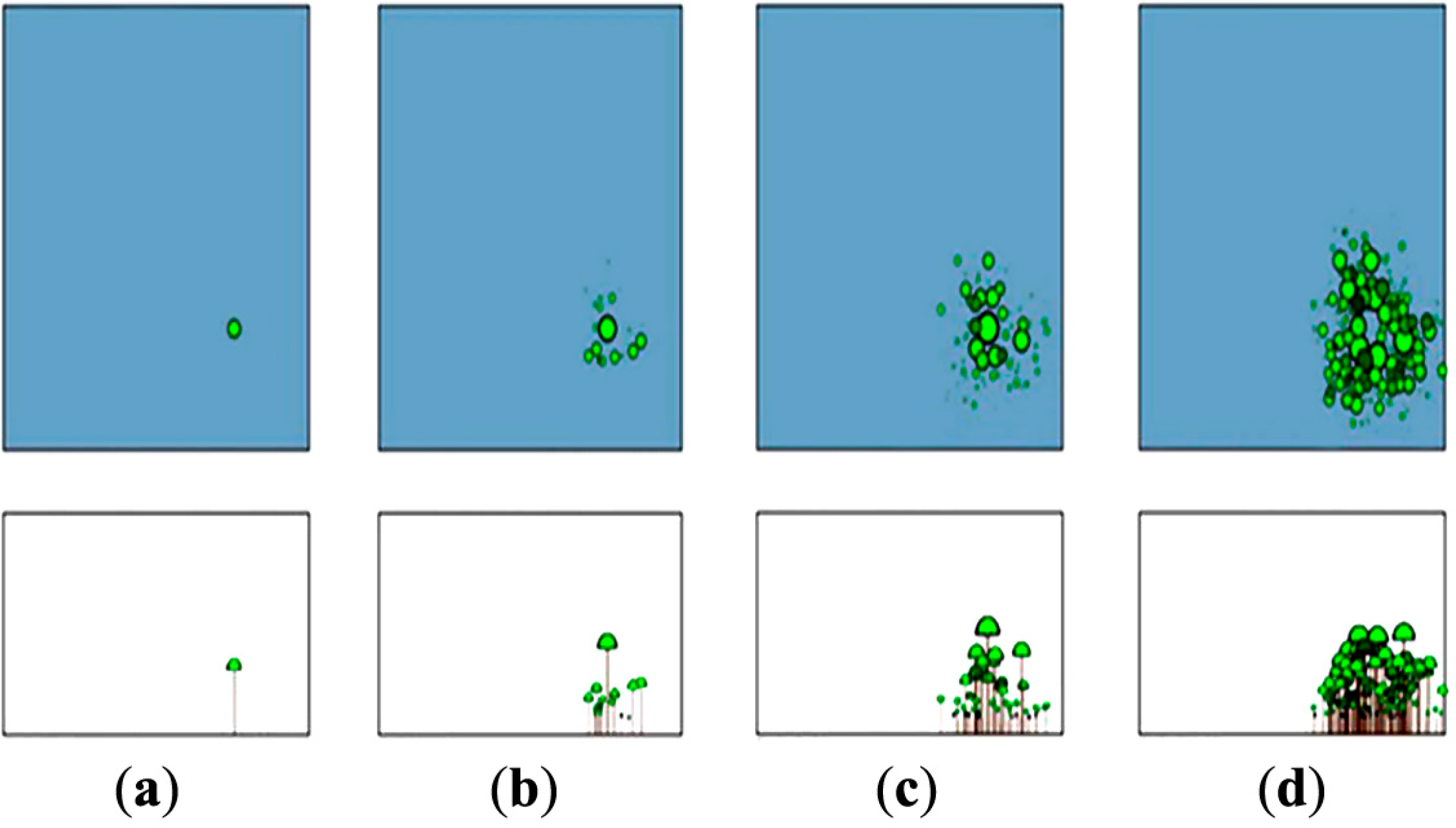 Remotesensing 06 07081f1 1024