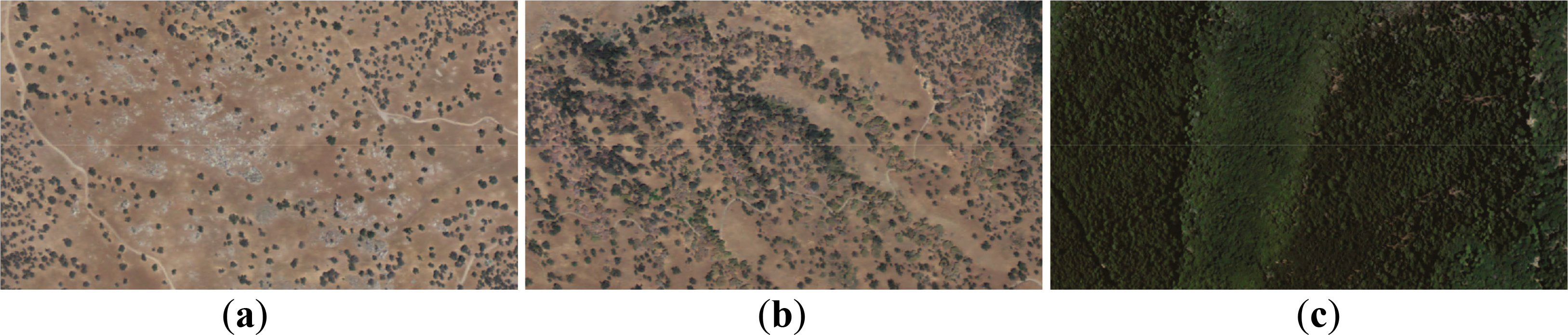 Remotesensing 06 07276f4 1024