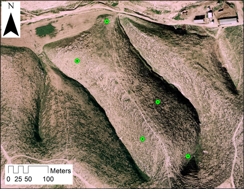 Remotesensing 06 07469f9 1024