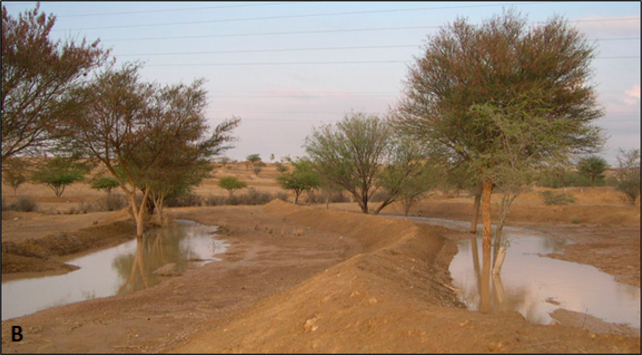 Remotesensing 06 08134f1b 1024