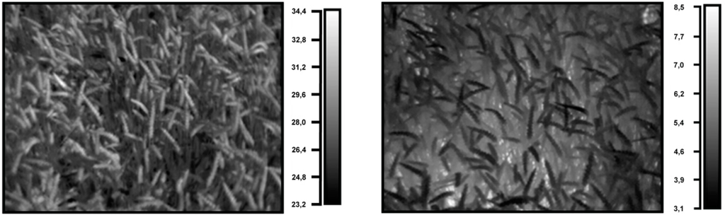 Remotesensing 06 09775f1 1024