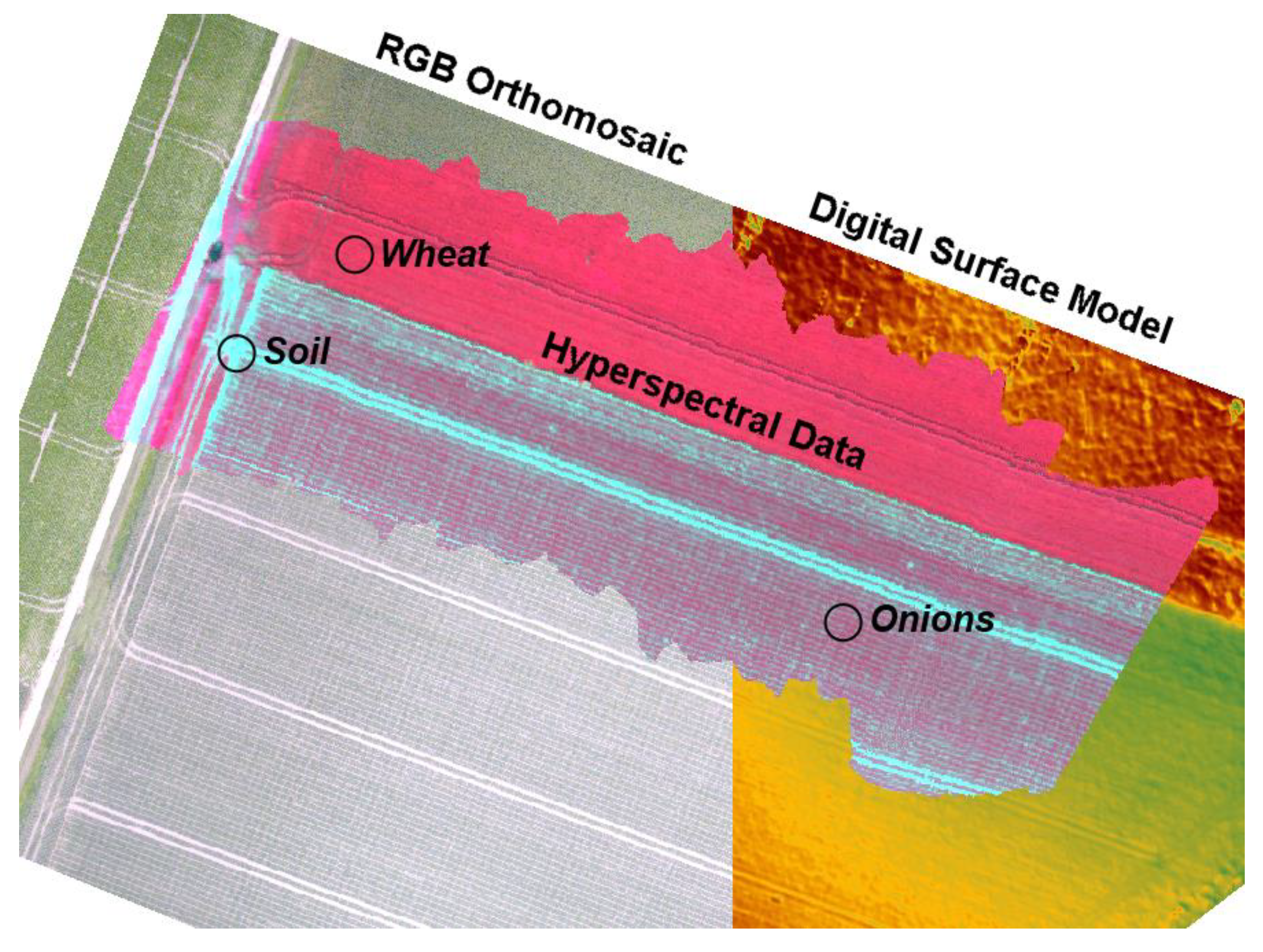 Remotesensing 06 11013 g004