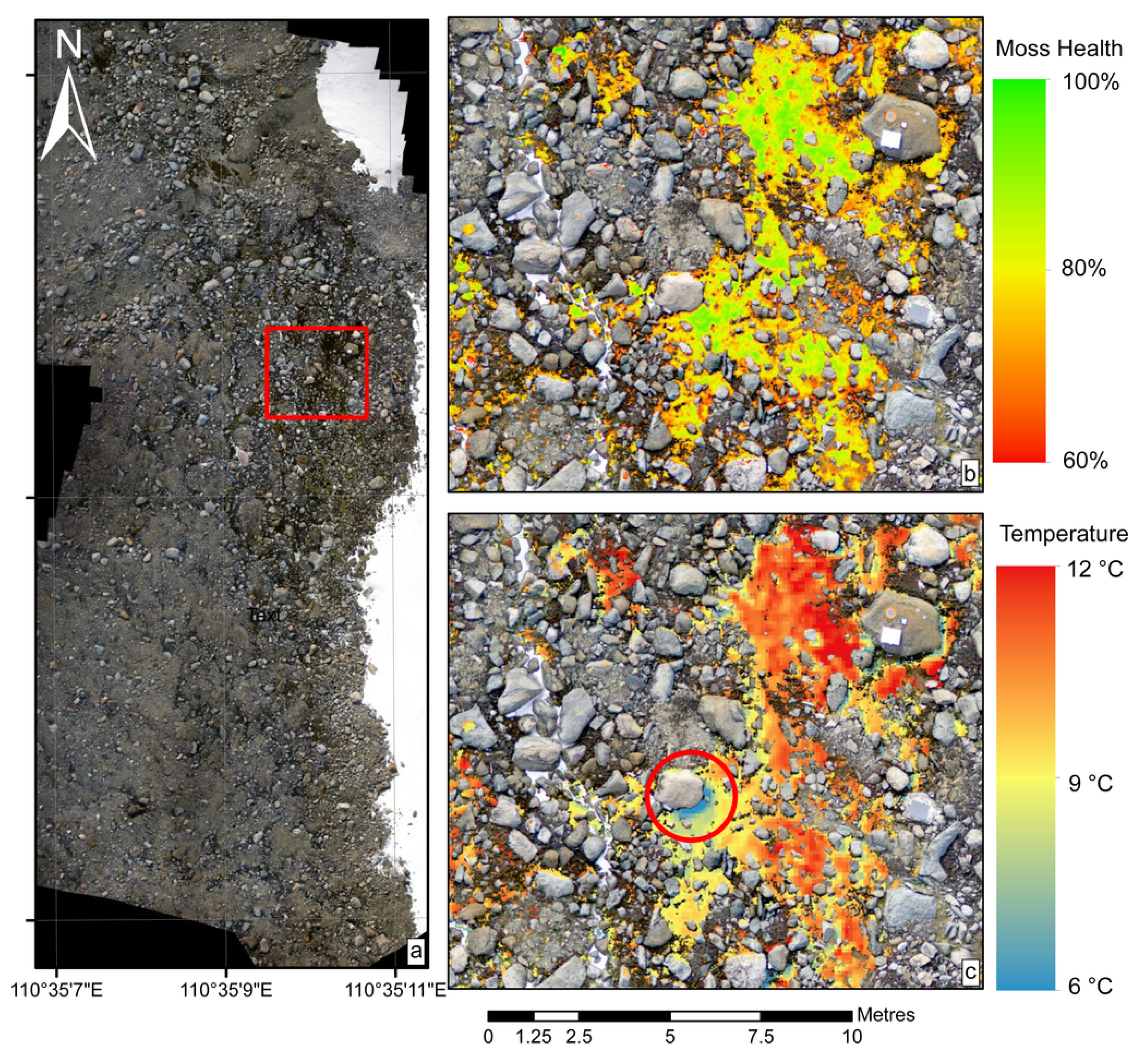 B mos. Remote Sensing of vegetation. Semantic change Detection in High spatial Resolution Remote Sensing imagery.