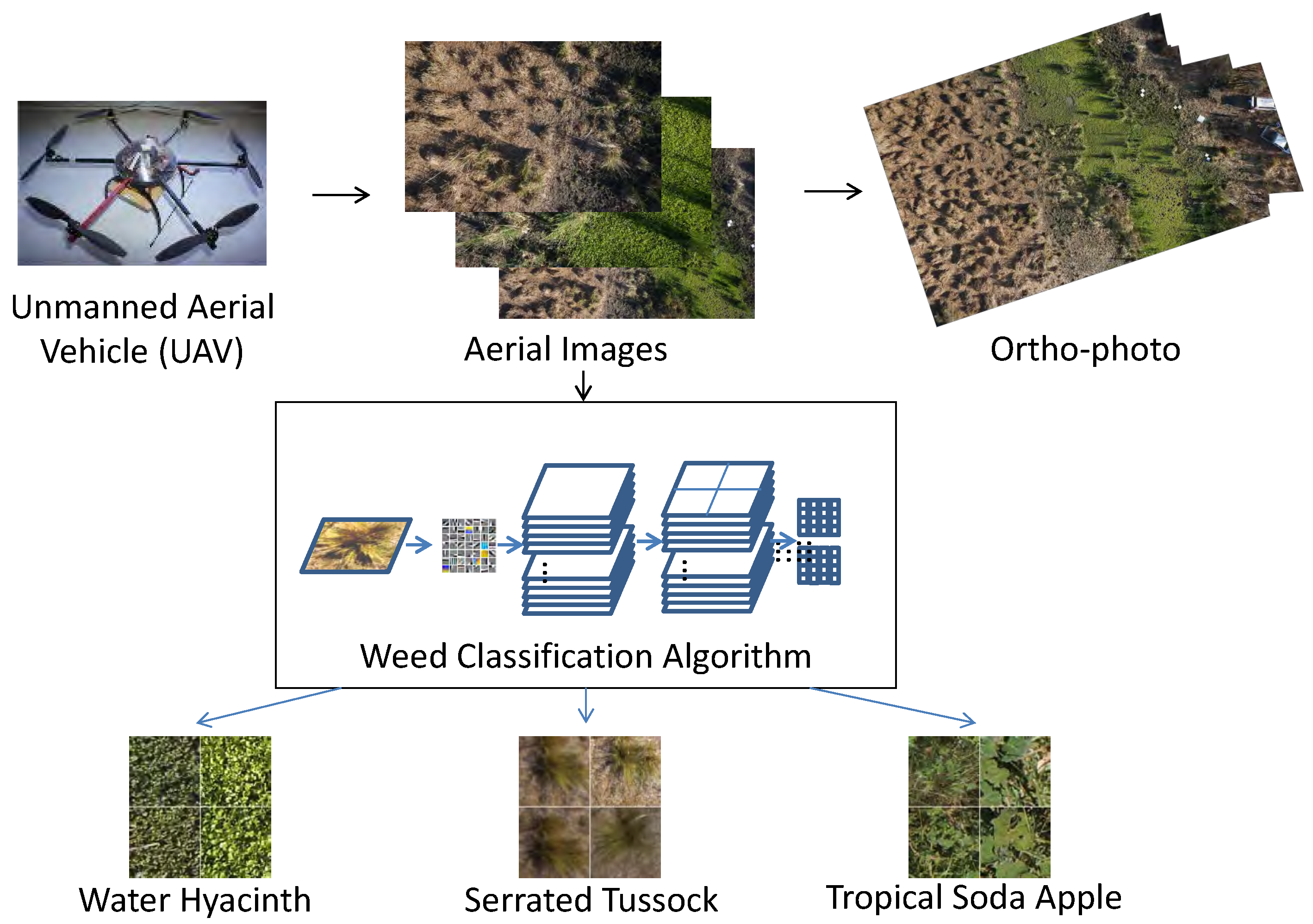 Remotesensing 06 12037 g001