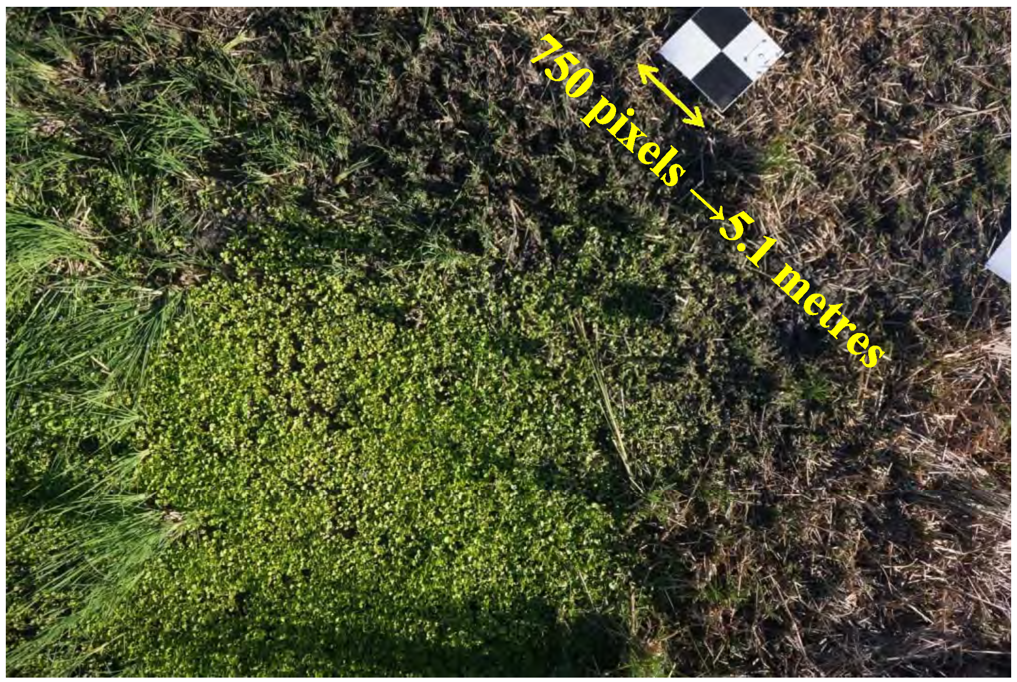 Remotesensing 06 12037 g002