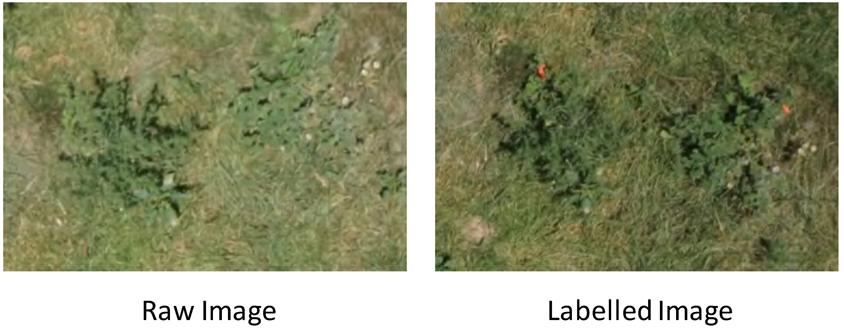 Remotesensing 06 12037 g006