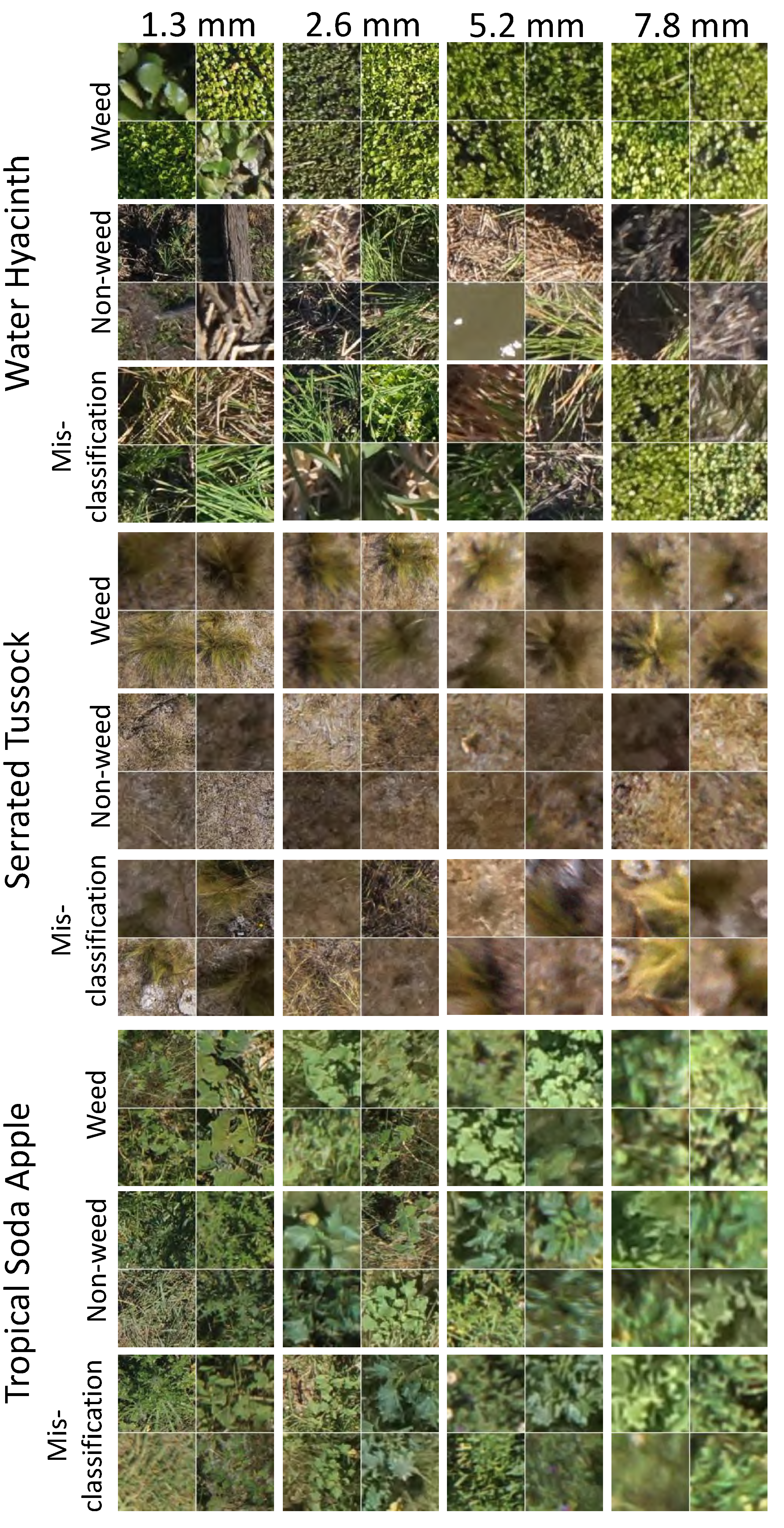 Remotesensing 06 12037 g008