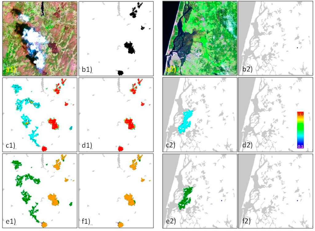 Remotesensing 07 01320 g012 1024