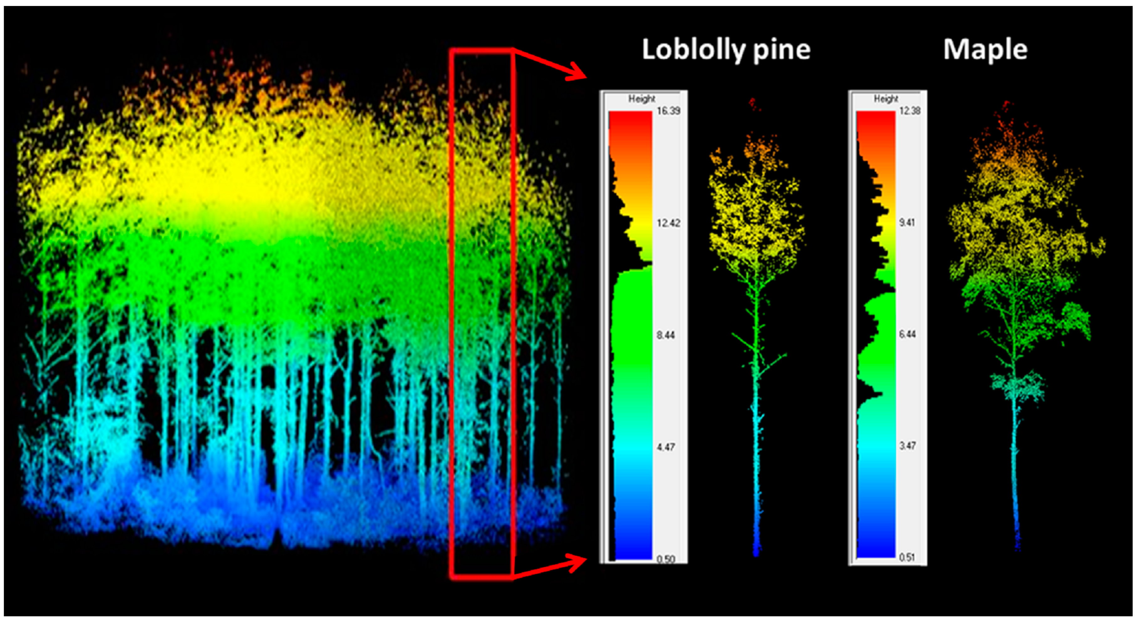 Remote Sensing Free FullText Terrestrial Laser Scanning as an