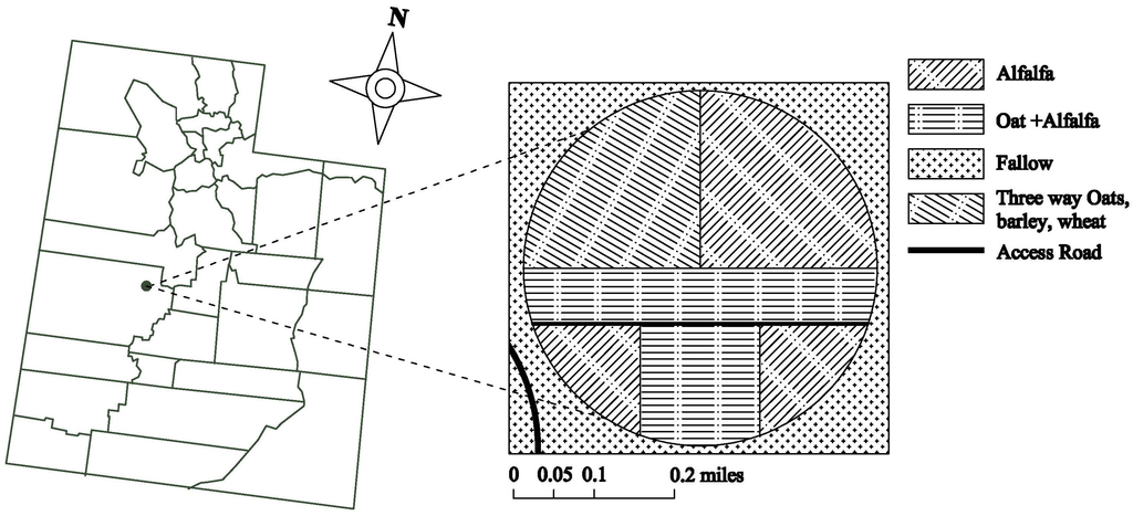 Assessment of Surface Soil Moisture Using High-Resolution Multi-Spectral Imagery and Artificial Neural Networks