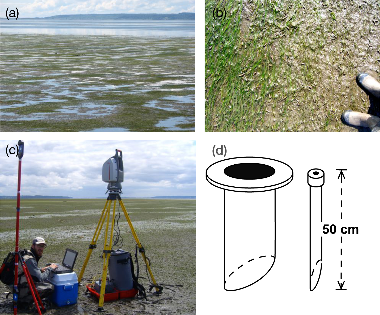 Remotesensing 07 03037f2 1024