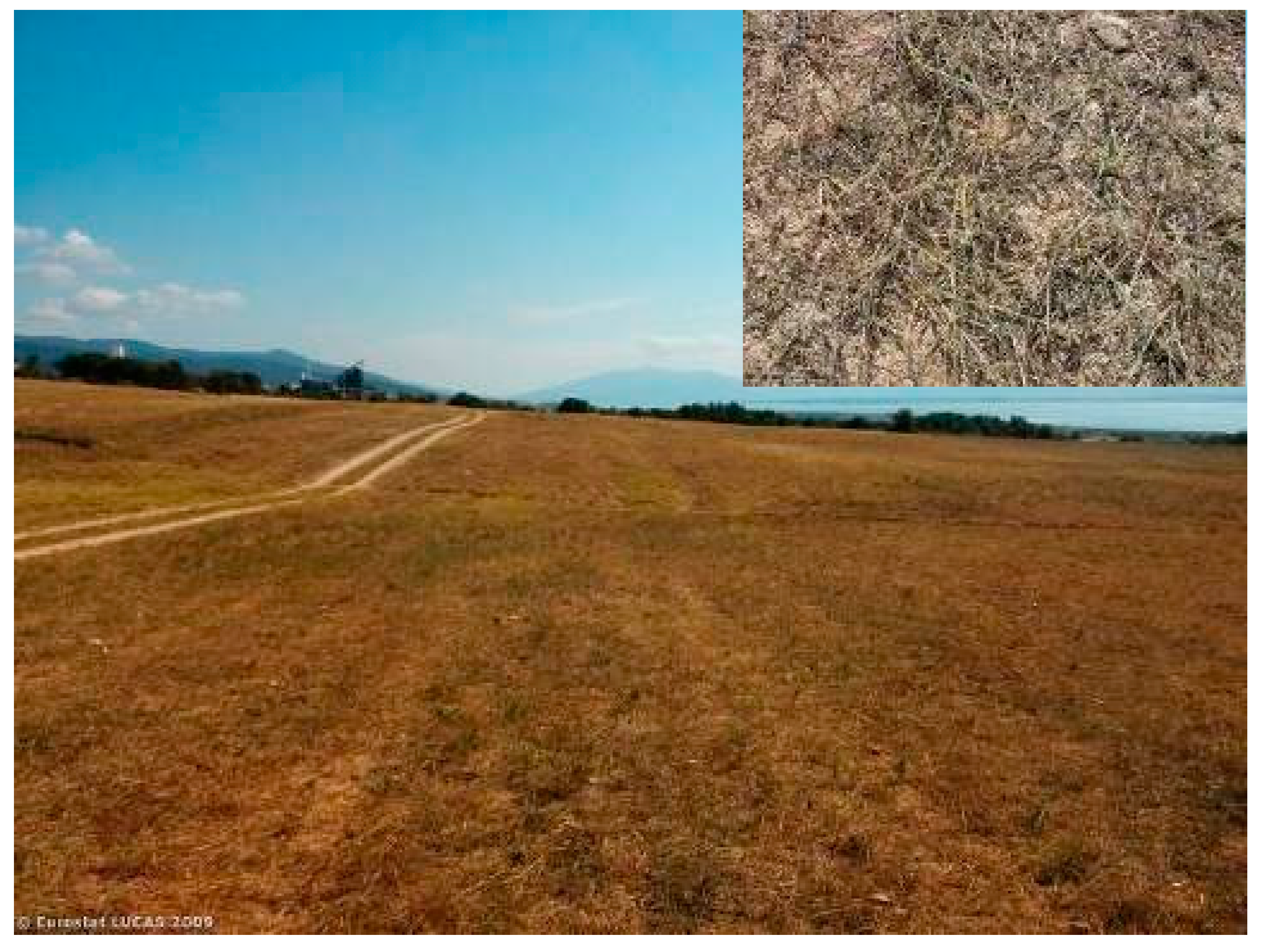 Remotesensing 07 05012 g007