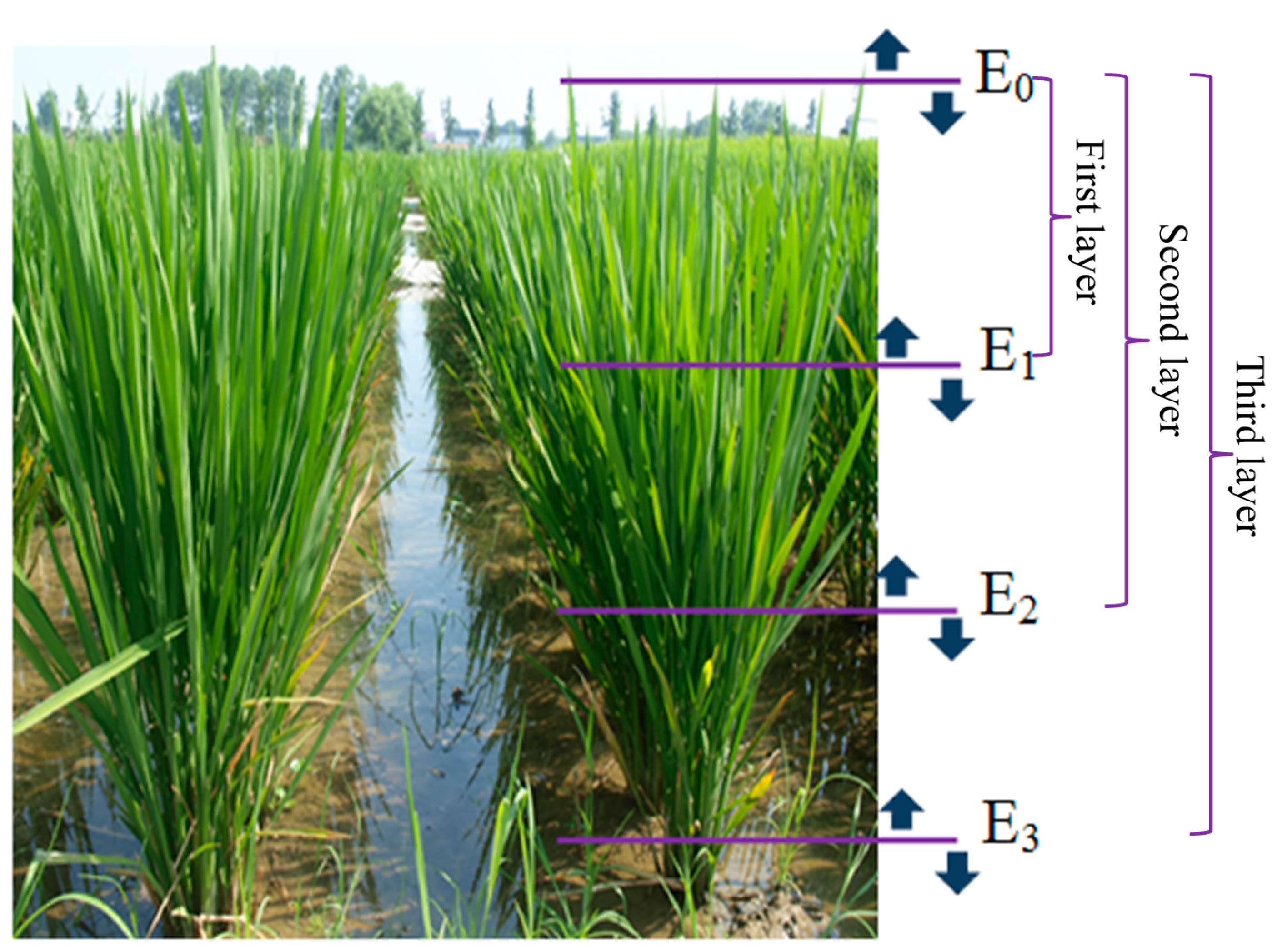 Remotesensing 07 05203 g001