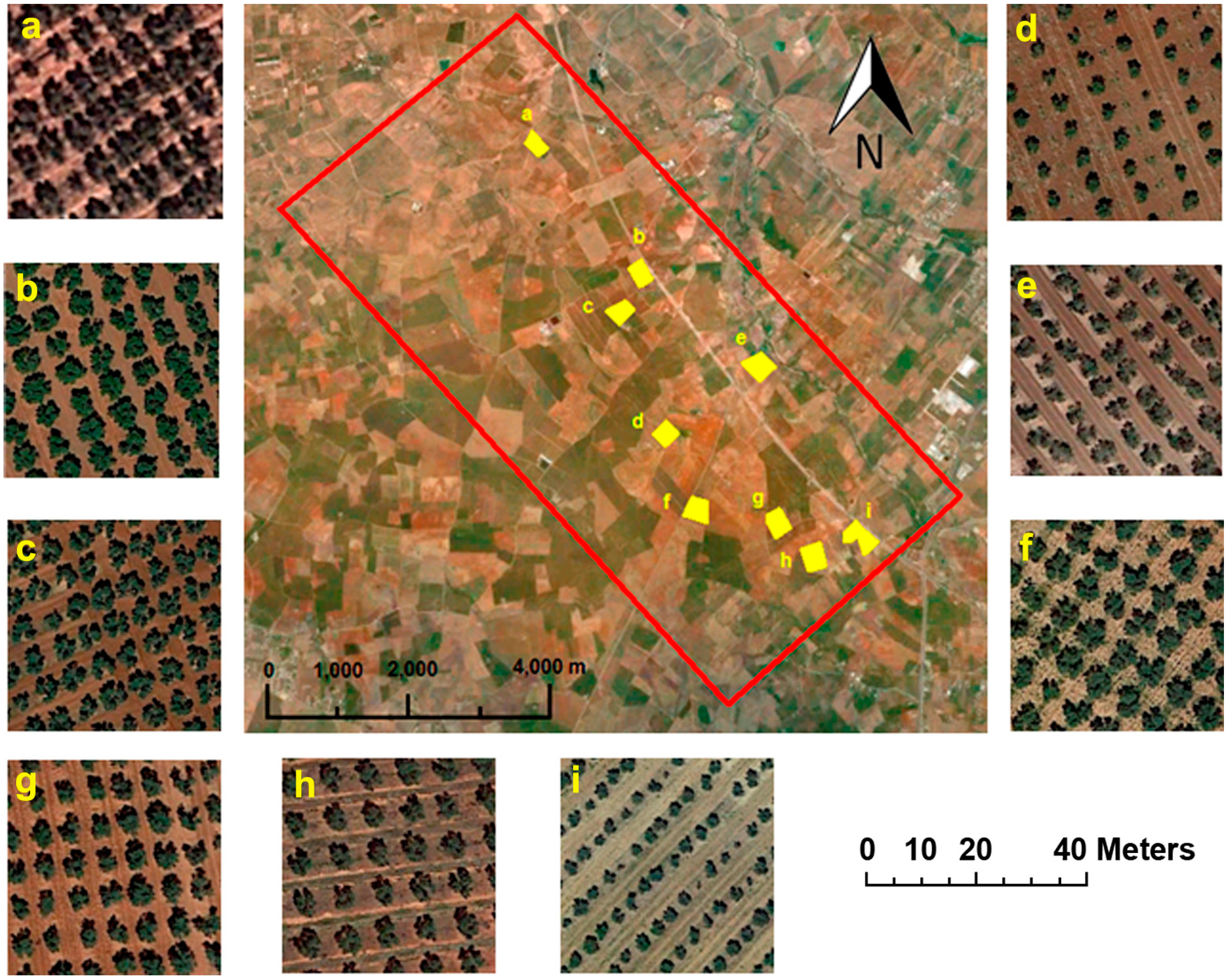 Remotesensing 07 05584 g001 1024