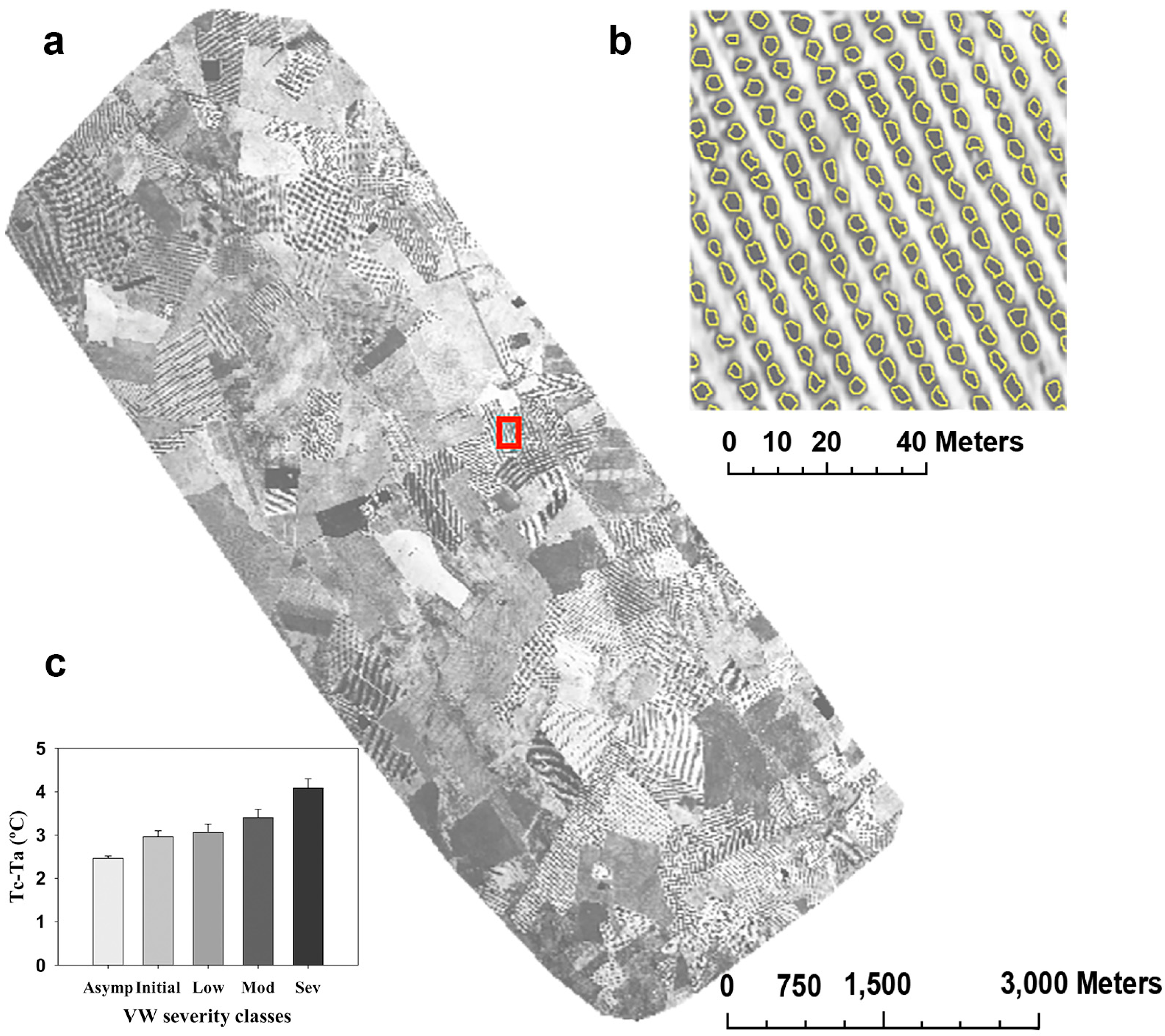 Remotesensing 07 05584 g003 1024