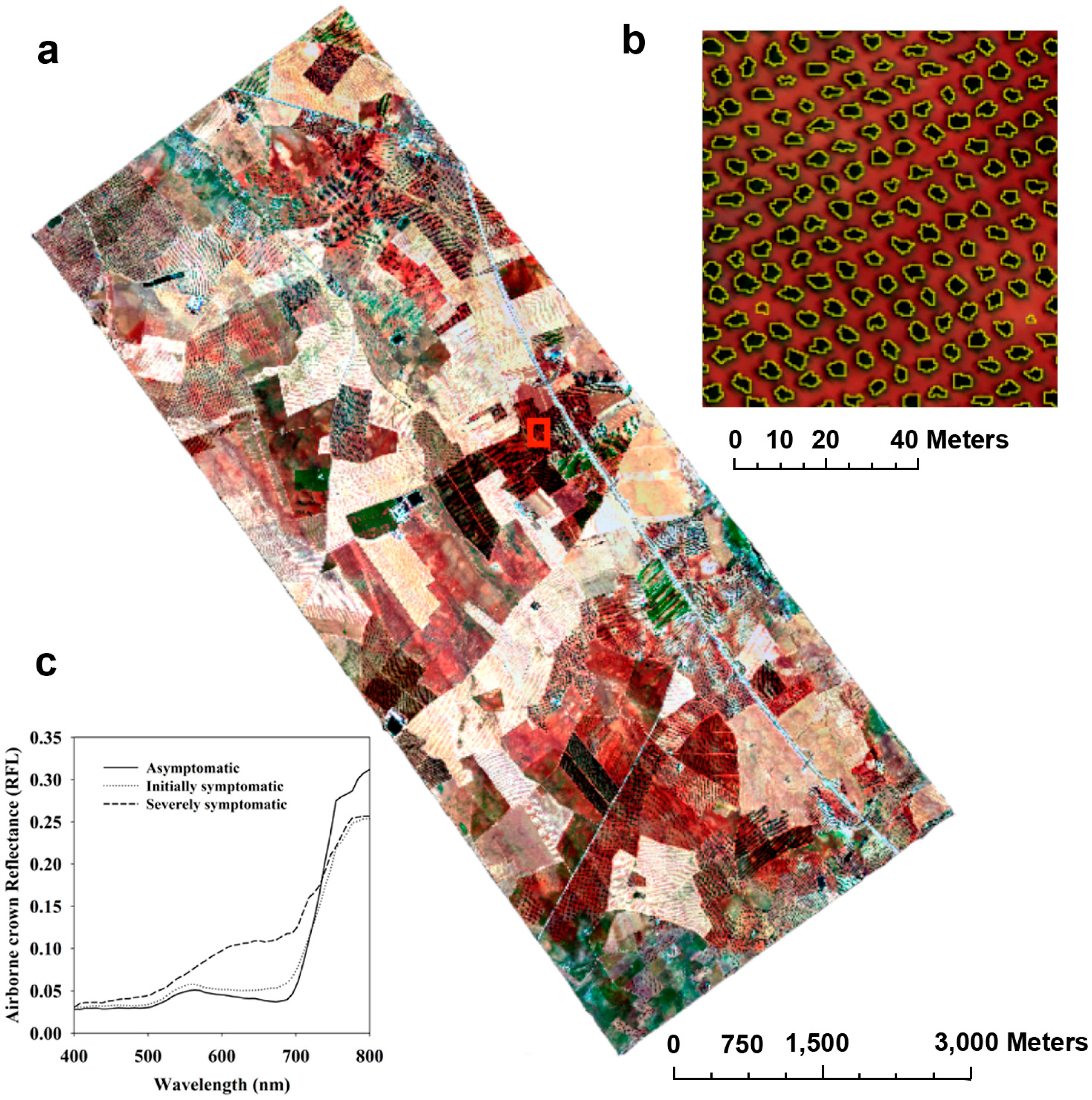 Remotesensing 07 05584 g004 1024