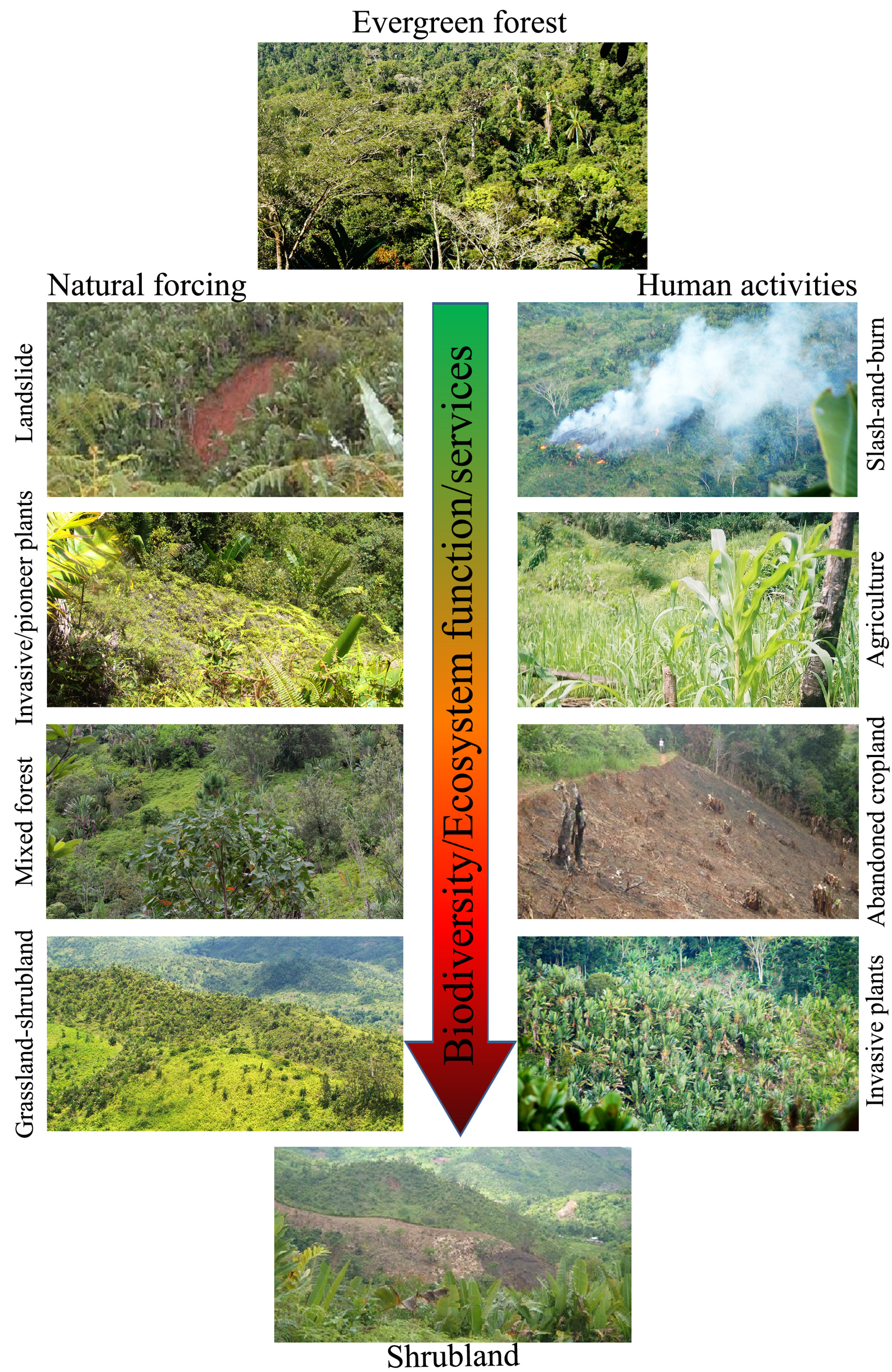 Remotesensing 07 06257 g011 1024