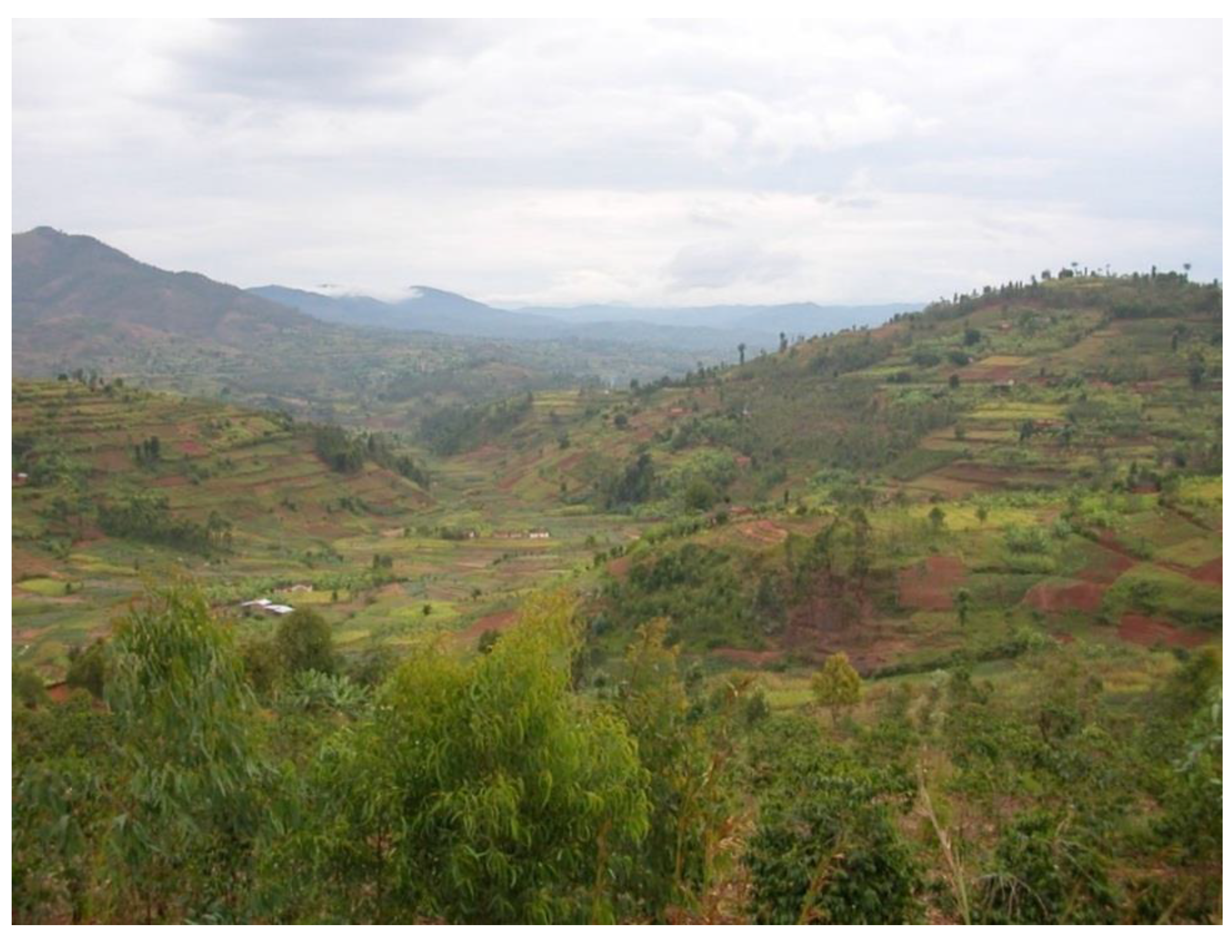 Remotesensing 07 06683 g002 1024