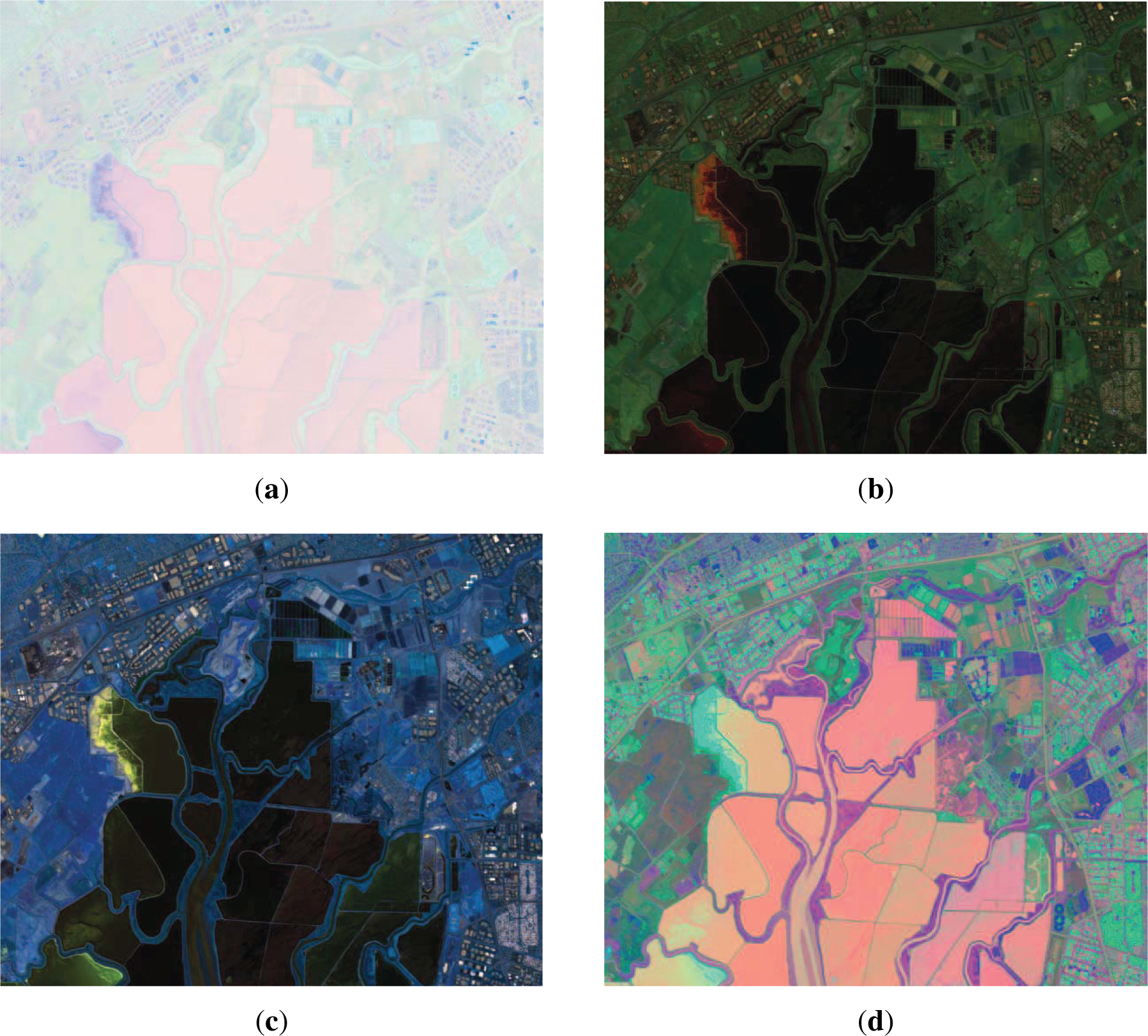 Remotesensing 07 07785f9 1024