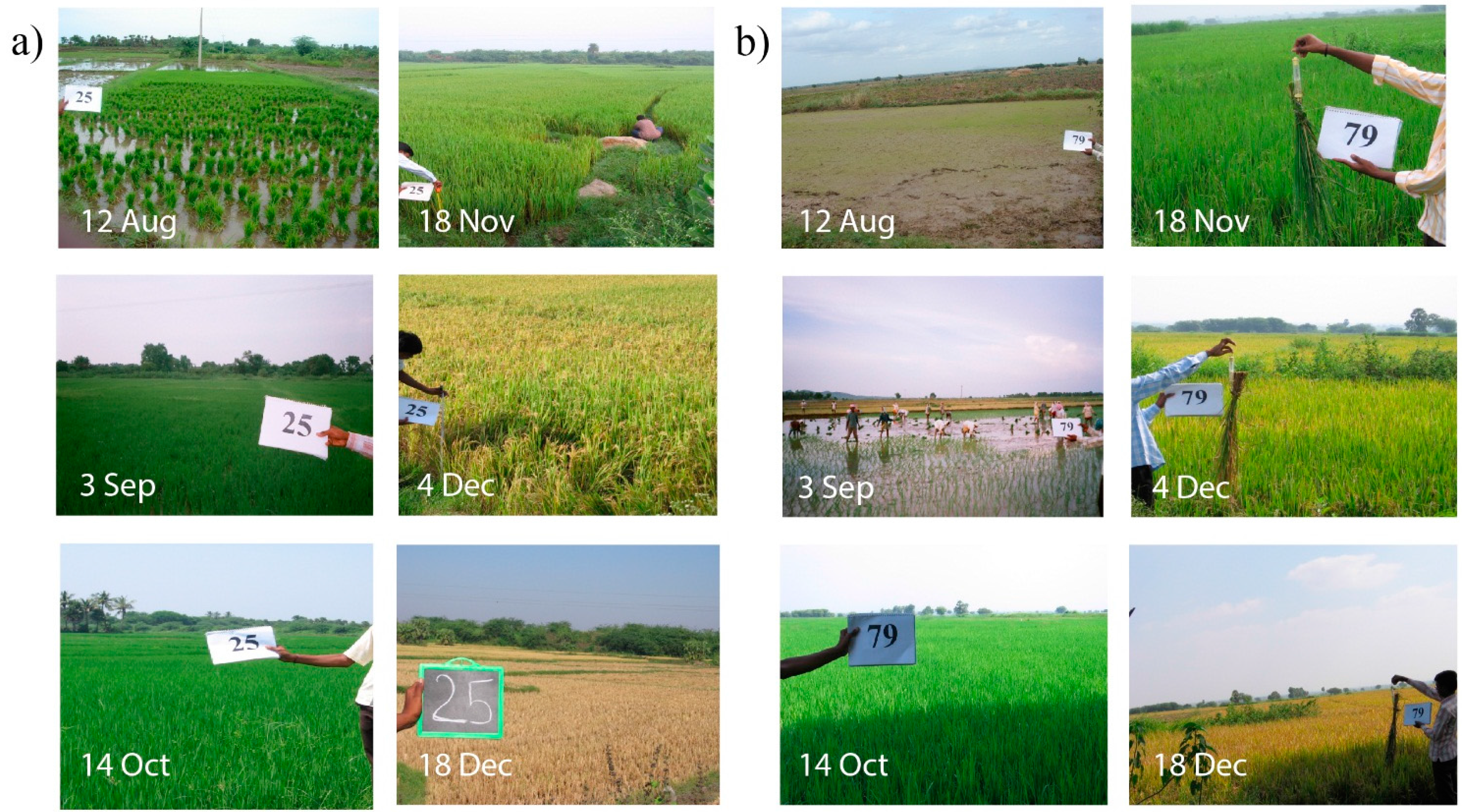 Remotesensing 07 08858 g002