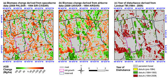 Remote Sensing | Free Full-Text | Sensitivity of Multi-Source SAR ...