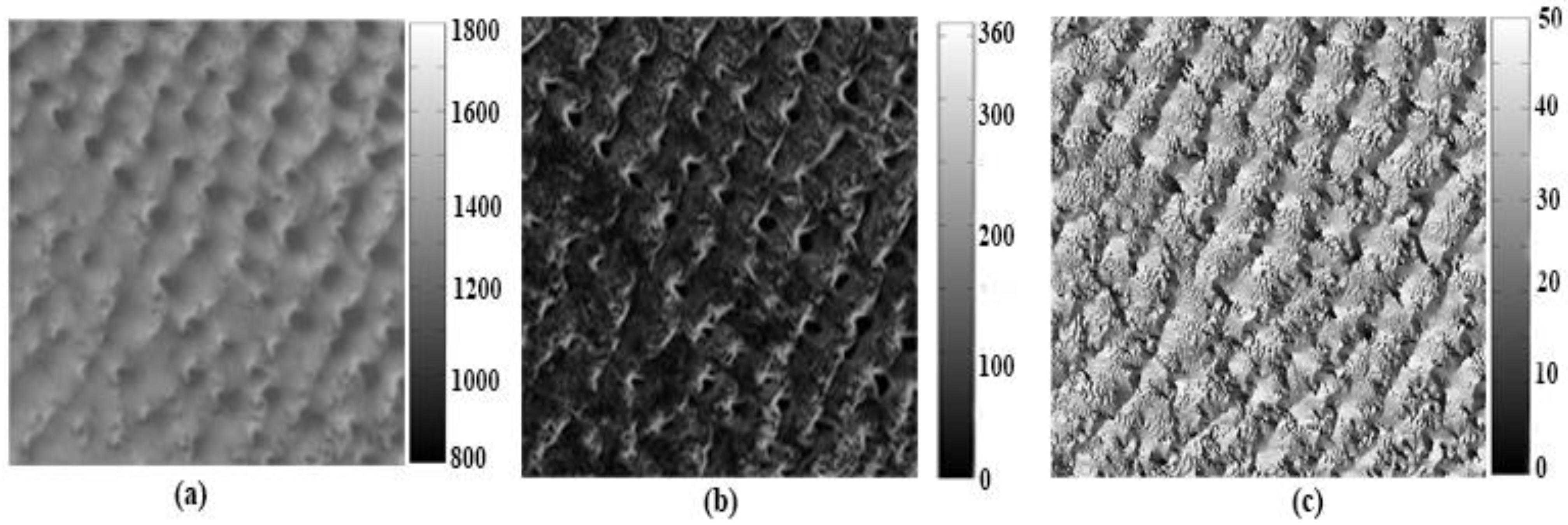 Remotesensing 07 10763 g002 1024