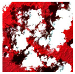 Remotesensing 07 13507 i003