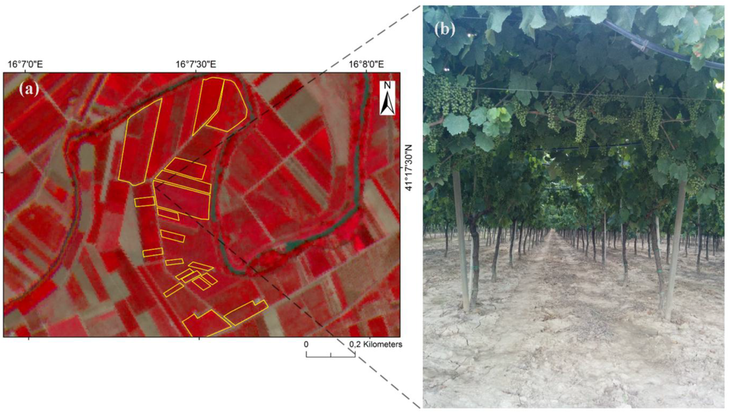 Remotesensing 07 14708 g002 1024