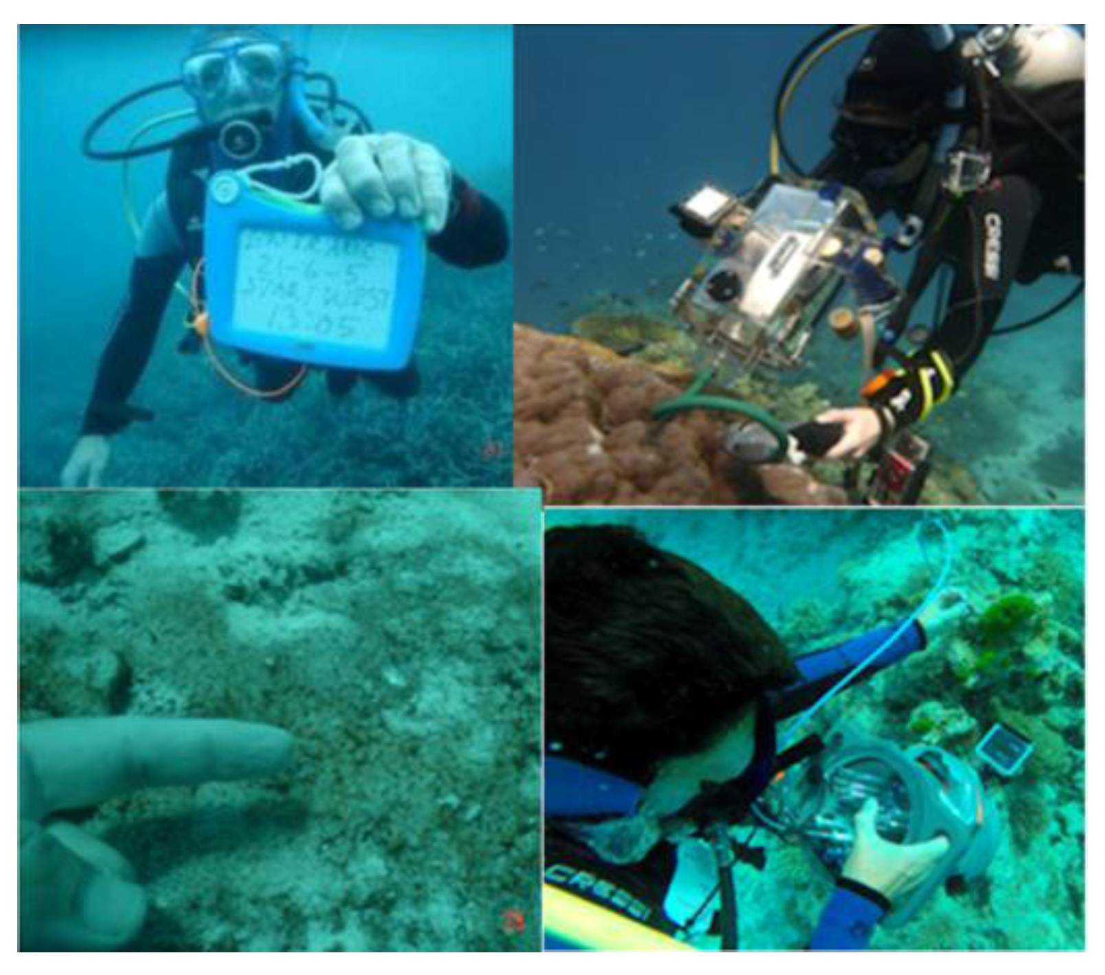 Remotesensing 07 15668 g001 1024