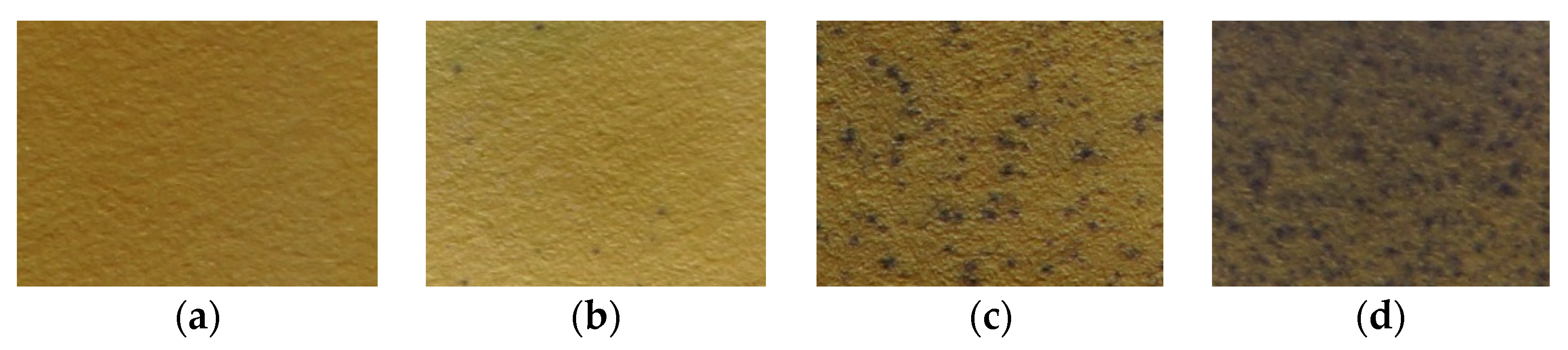 Remotesensing 07 15858 g004 1024