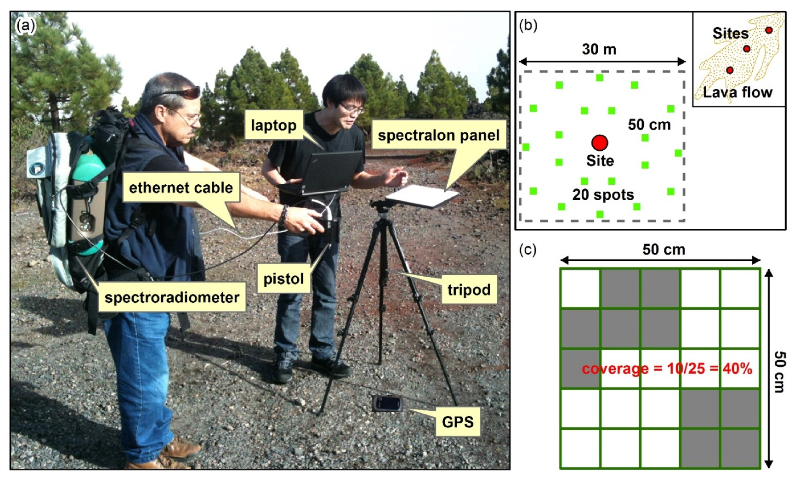 Remotesensing 07 15864 g002