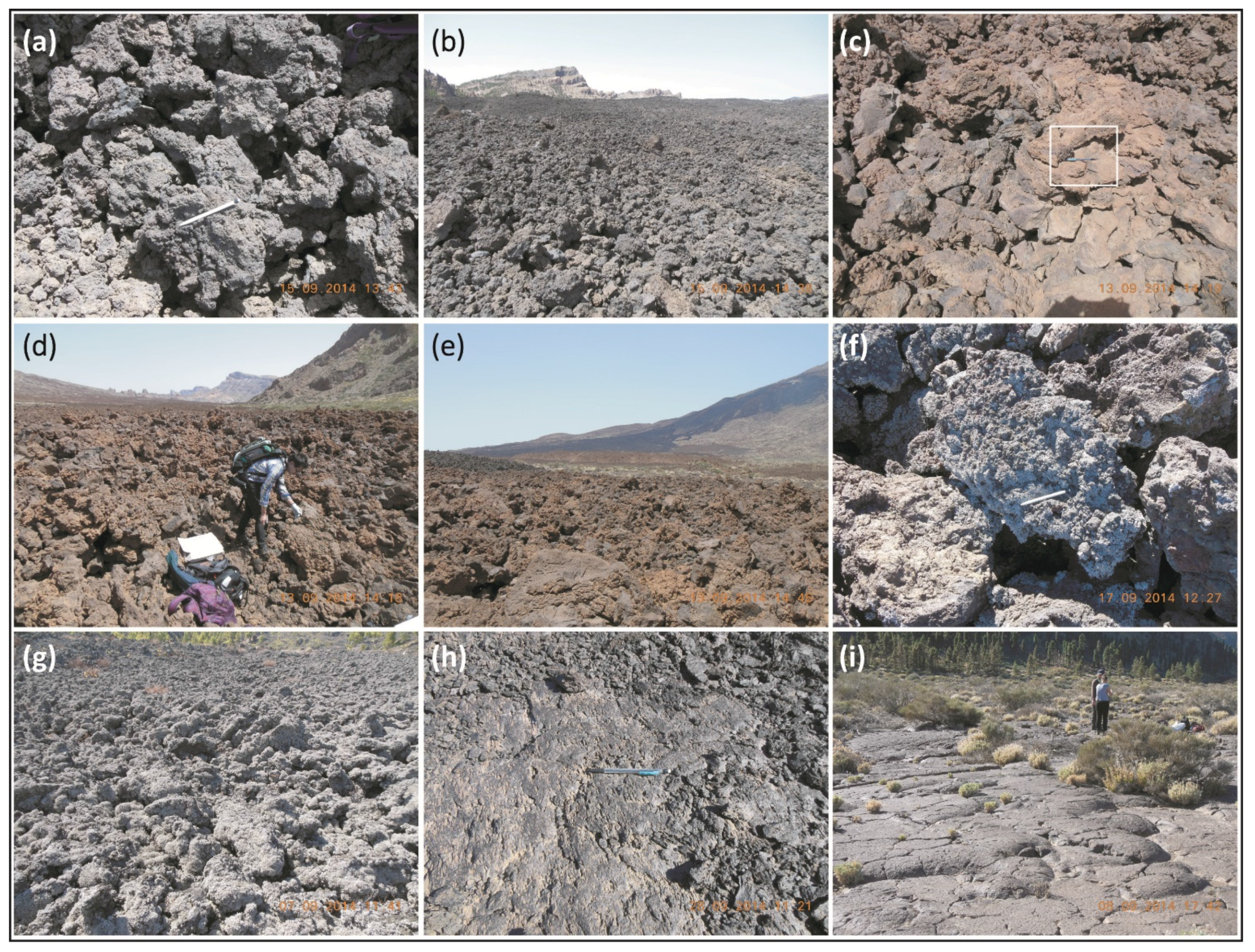 Remotesensing 07 15864 g003