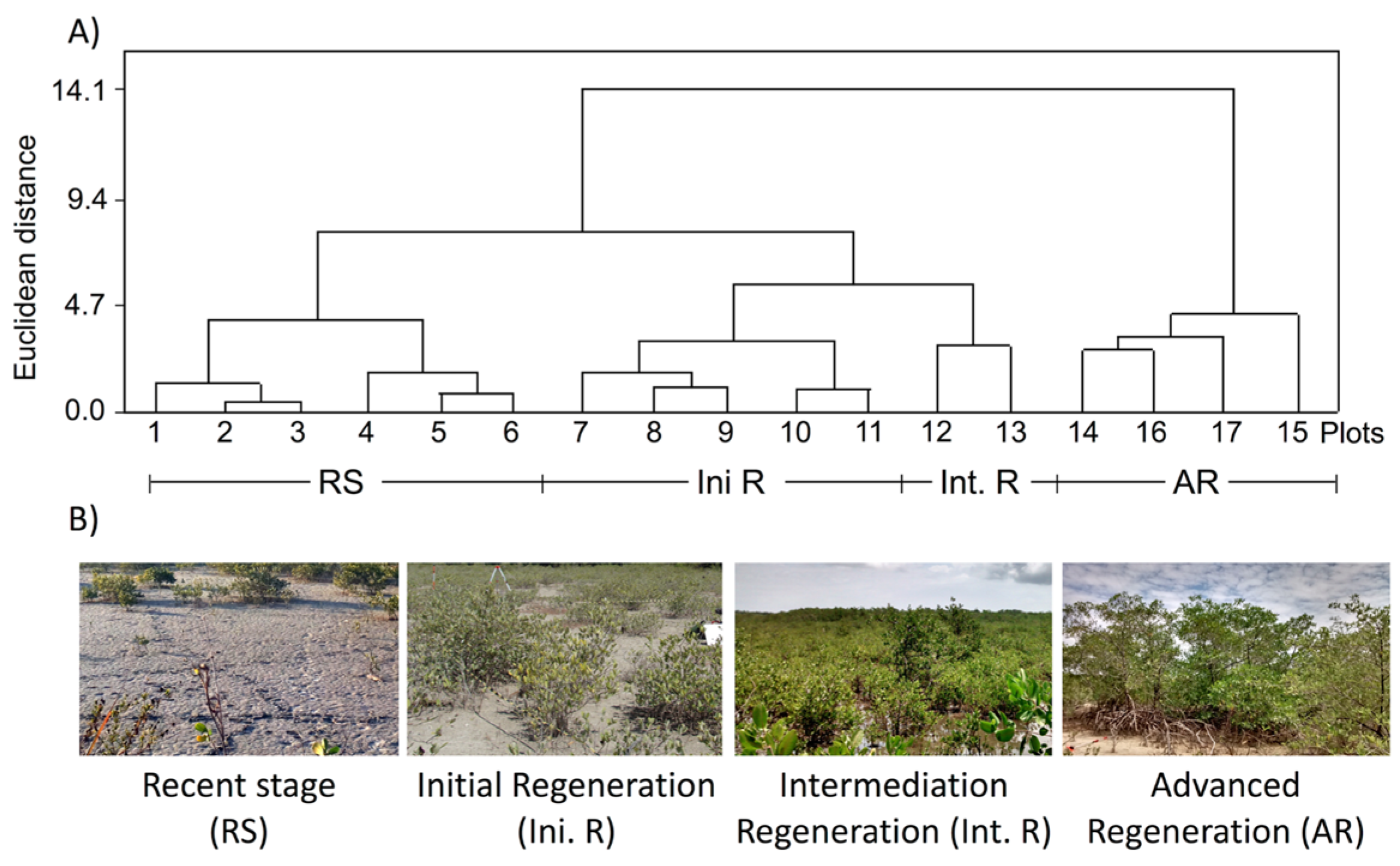 Remotesensing 07 15873 g002 1024