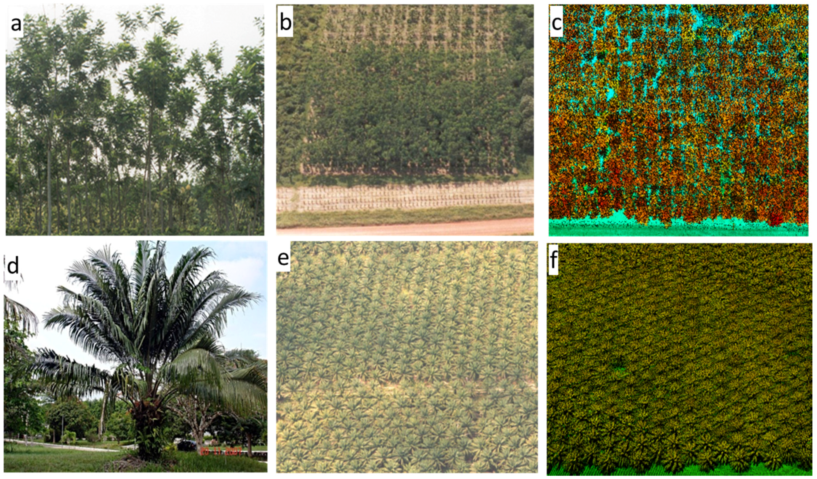 Remotesensing 08 00021 g003