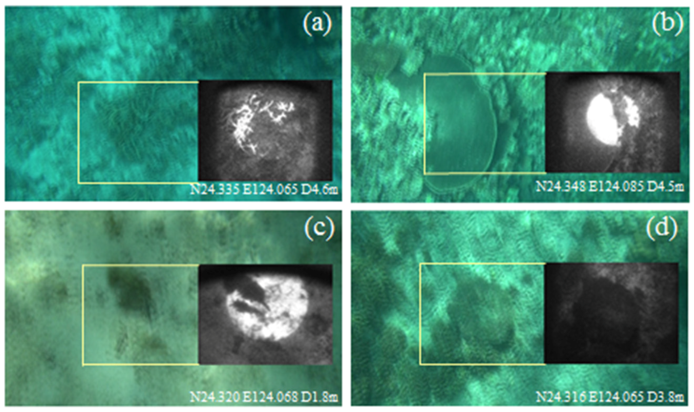 Remotesensing 08 00048 g006 1024