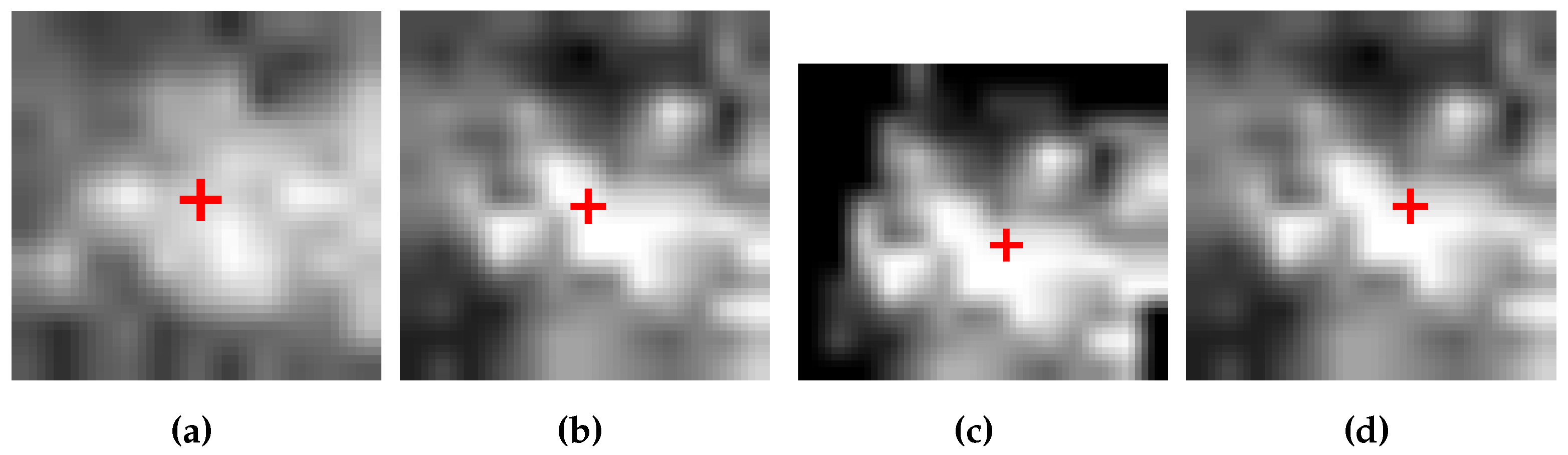 Remotesensing 08 00056 g005 1024
