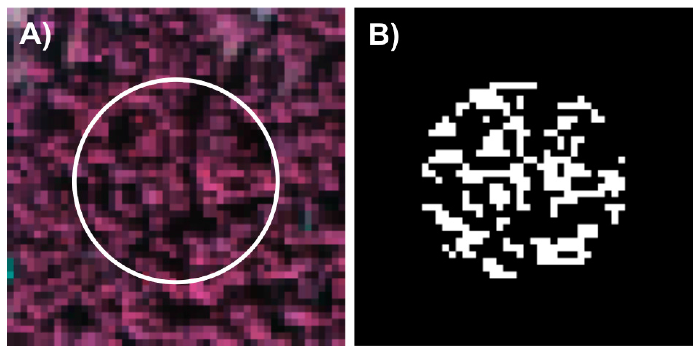 Remotesensing 08 00092 g002 1024