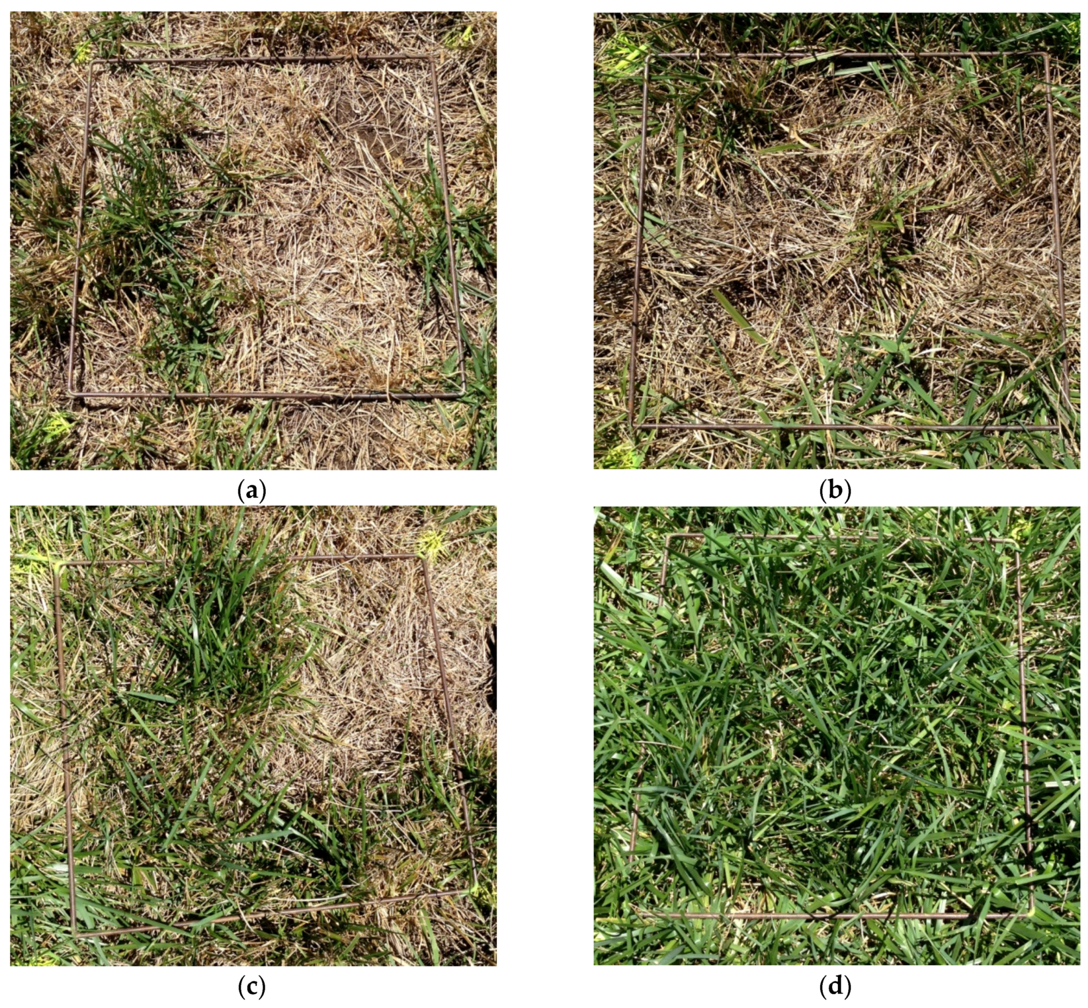 Remotesensing 08 00109 g004 1024