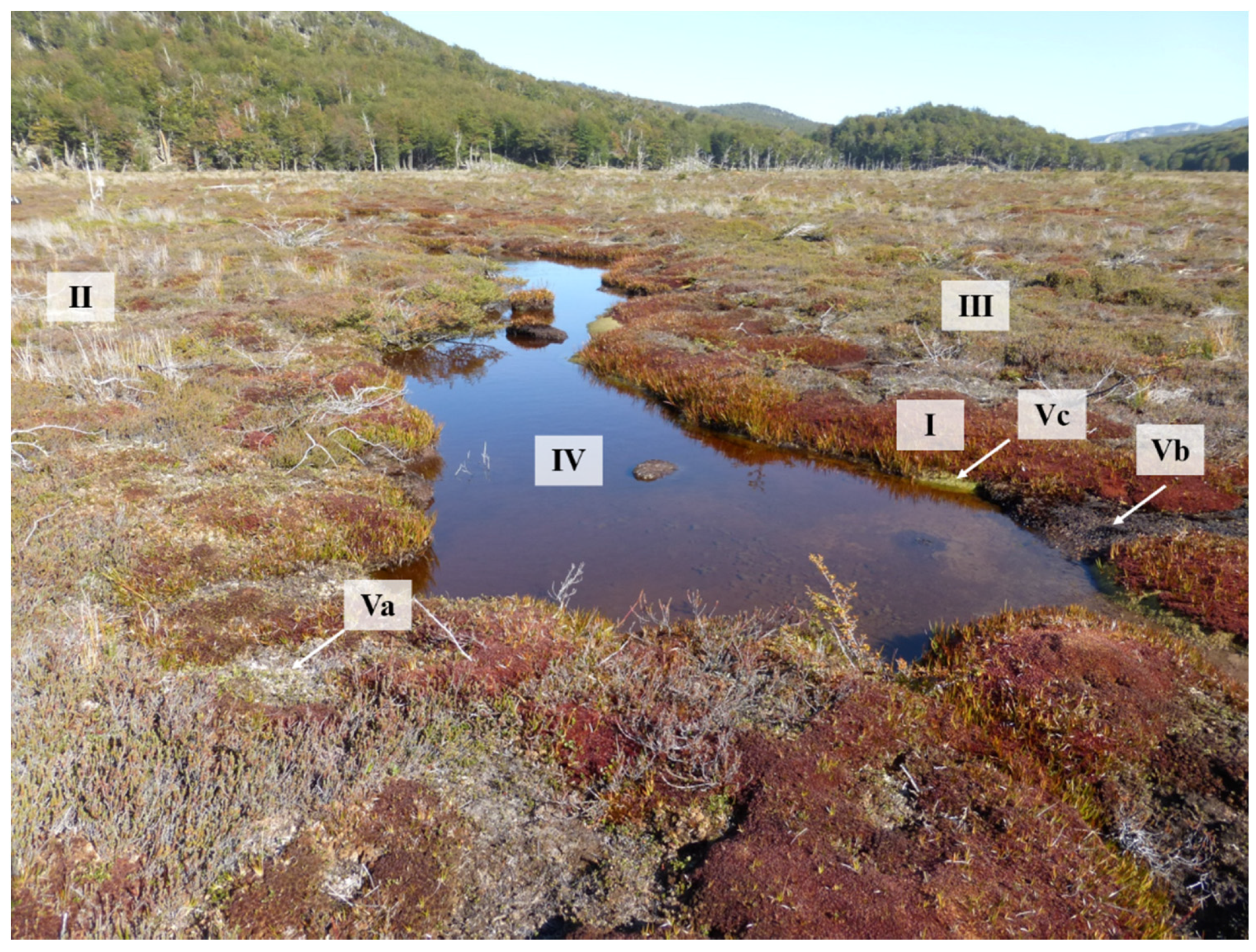 Remote Sensing | Free Full-Text | High-Resolution Classification of South Patagonian Peat Bog Microforms Reveals Potential Gaps in Up-Scaled CH4 Fluxes by use of Unmanned Aerial System (UAS) and CIR Imagery Remote Sensing | Free Full-Text | High-Resolution Classification of South Patagonian Peat Bog Microforms Reveals Potential Gaps in Up-Scaled CH4 Fluxes by use of Unmanned Aerial System (UAS) and CIR Imagery