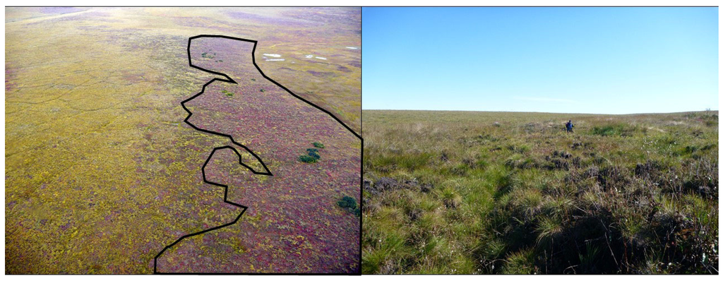 Remotesensing 08 00218 g007 1024