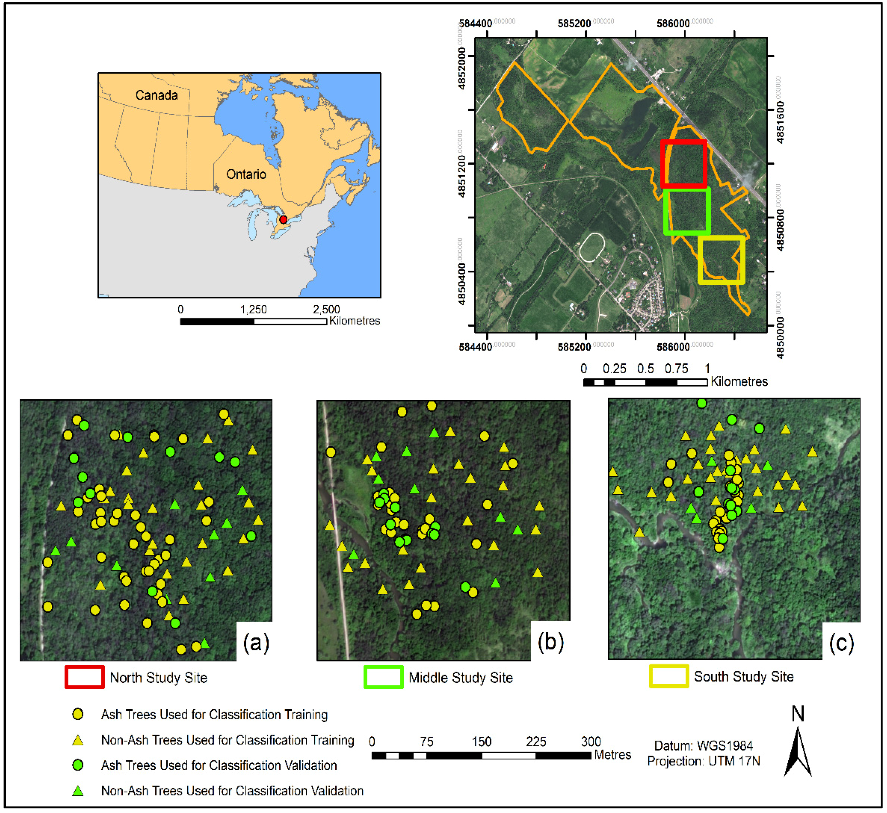 Remotesensing 08 00256 g001