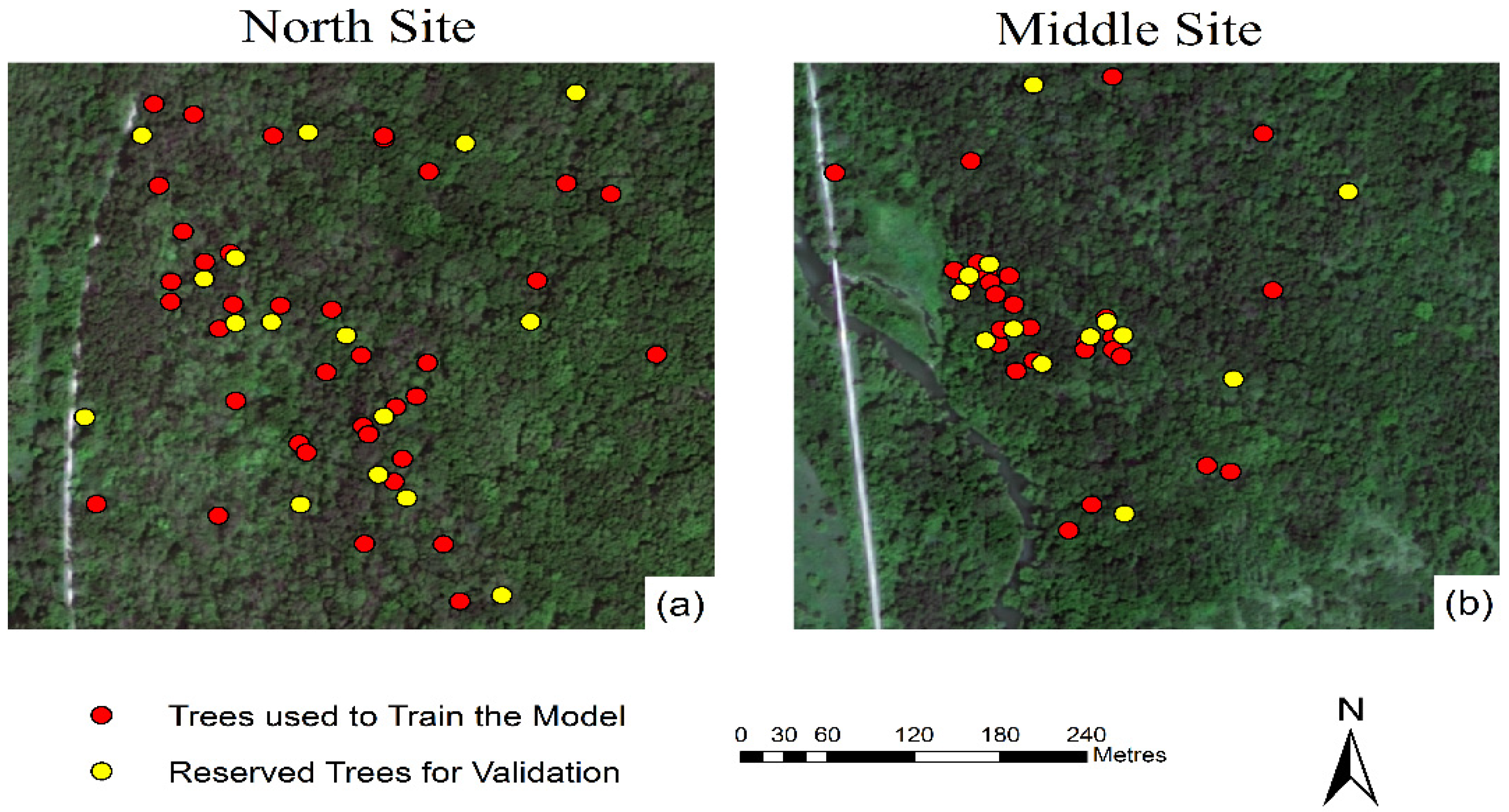 Remotesensing 08 00256 g003