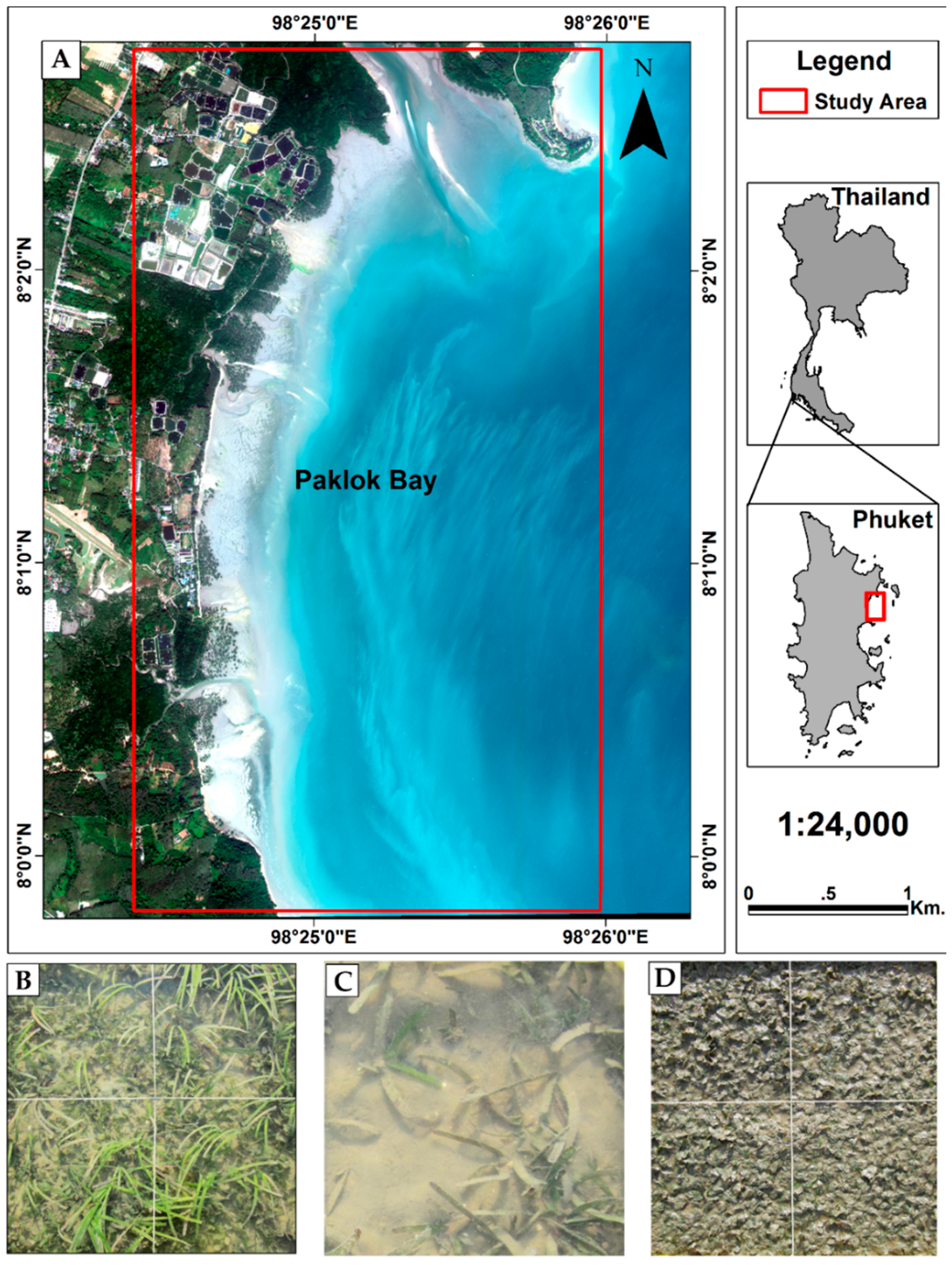 Remotesensing 08 00292 g001