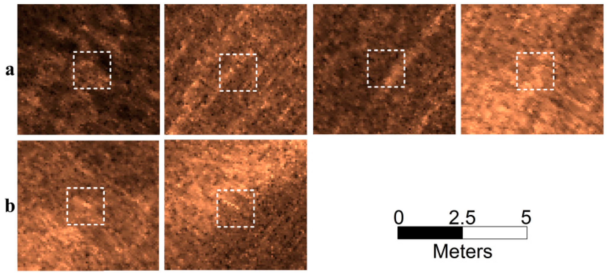 Remotesensing 08 00373 g007 1024