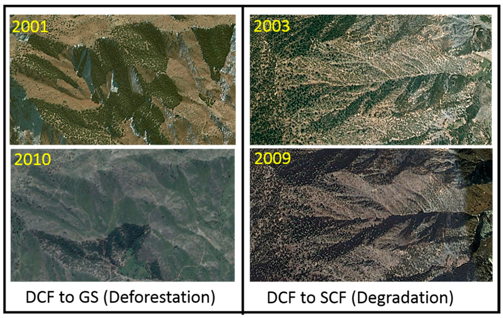 Remotesensing 08 00385 g007 1024