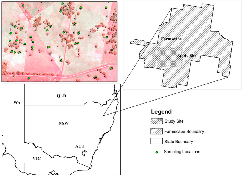 Remotesensing 08 00388 g003 1024