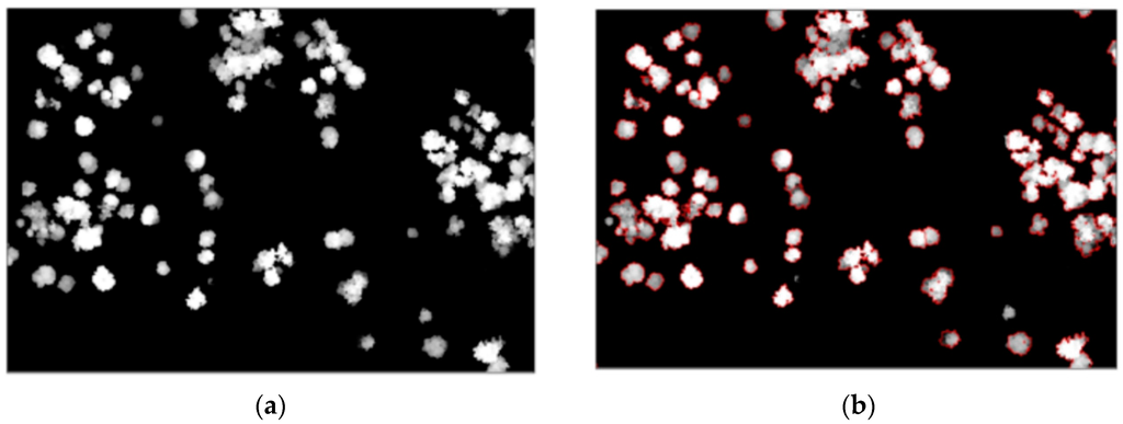 Remotesensing 08 00388 g006 1024