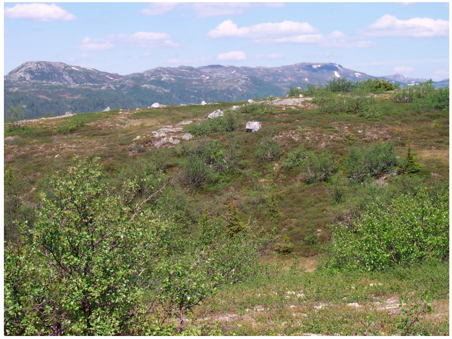 Remotesensing 08 00407 g001 1024