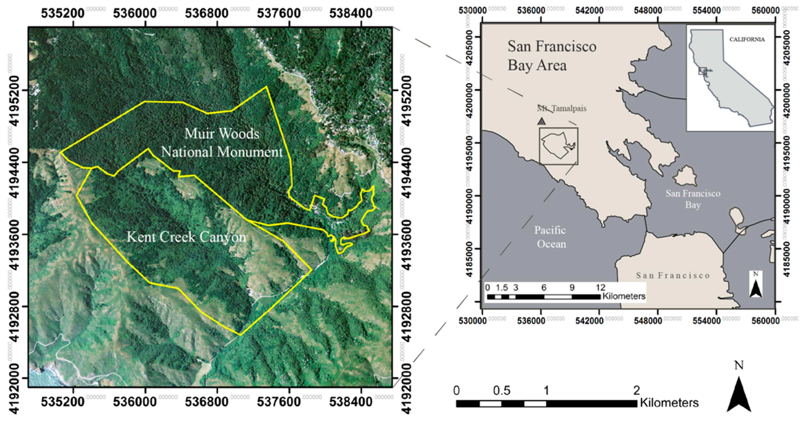 Remotesensing 08 00445 g001